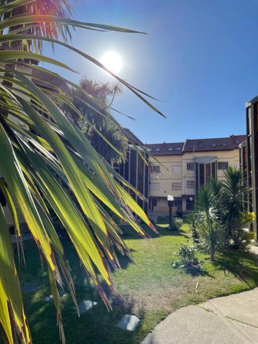 Hermoso departamento frente a la playa