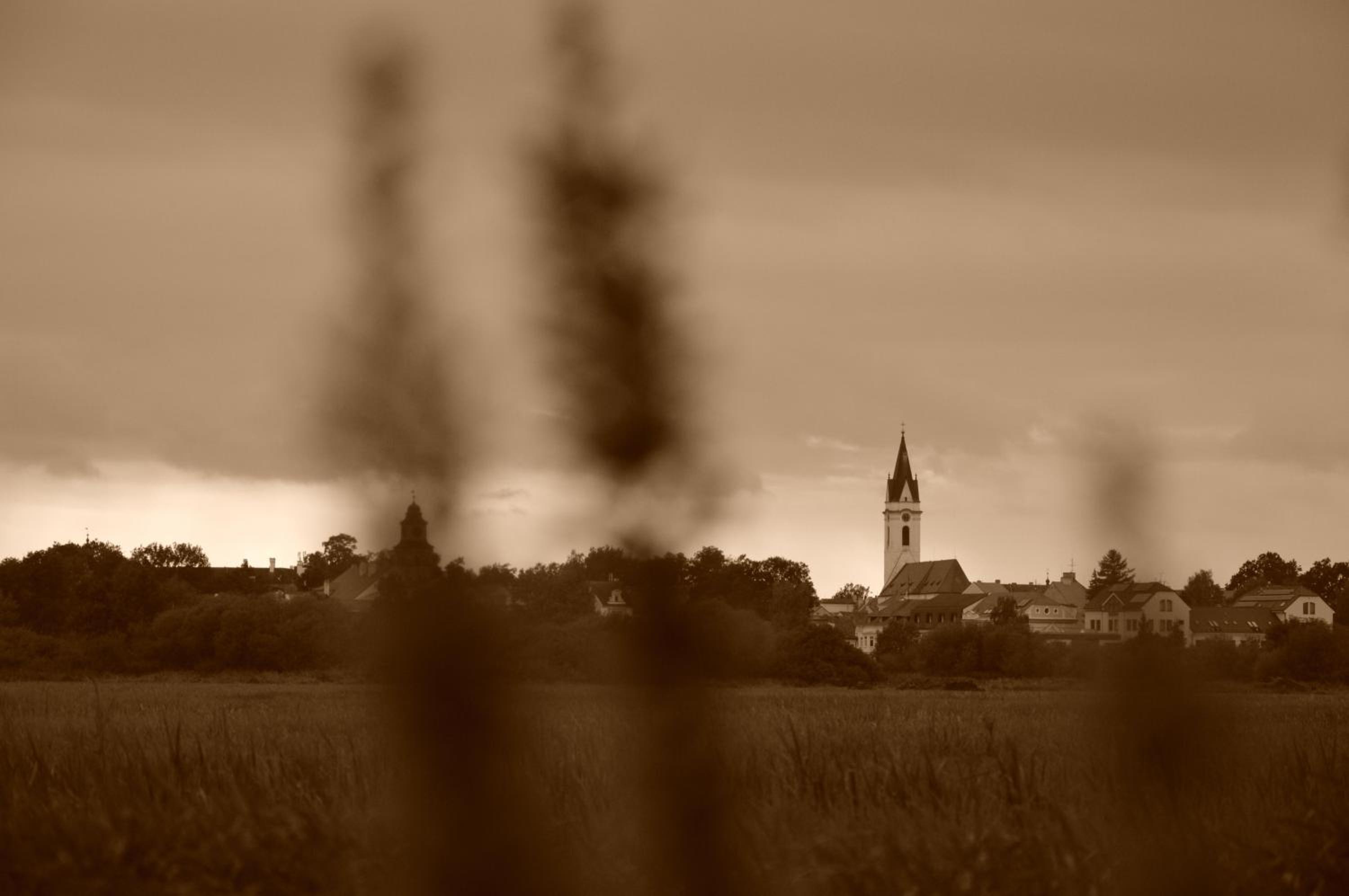 Studio 37 Třeboň