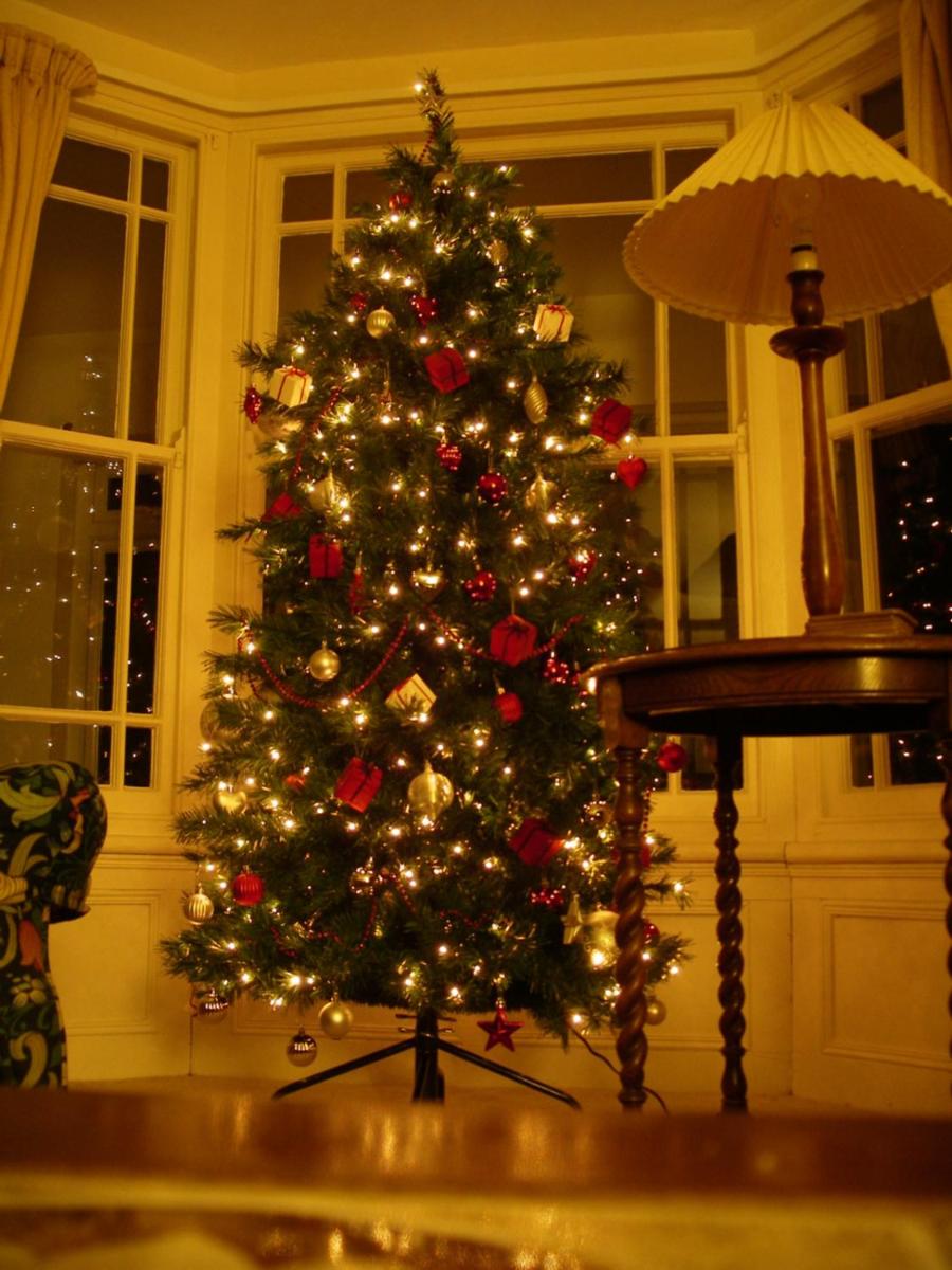 Photo 23