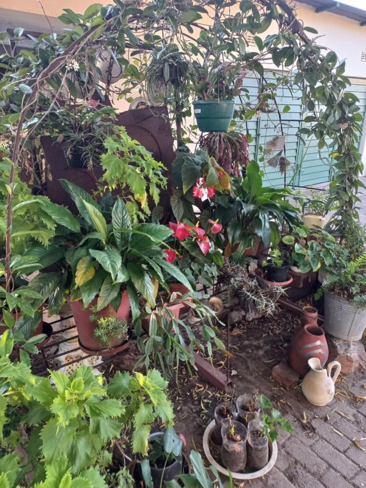 Eloff's Guest House