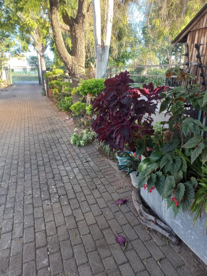 Eloff's Guest House