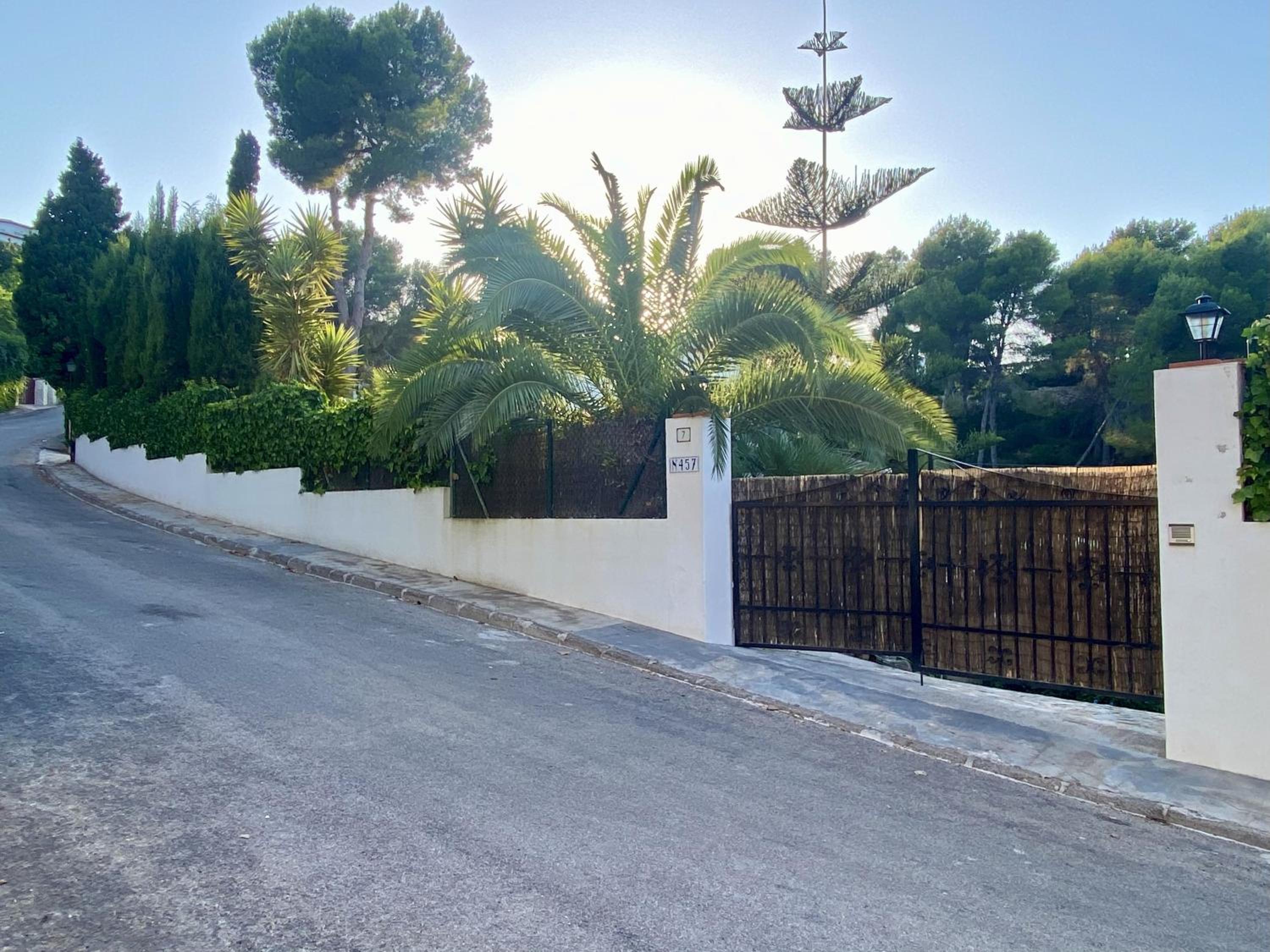 Palmera