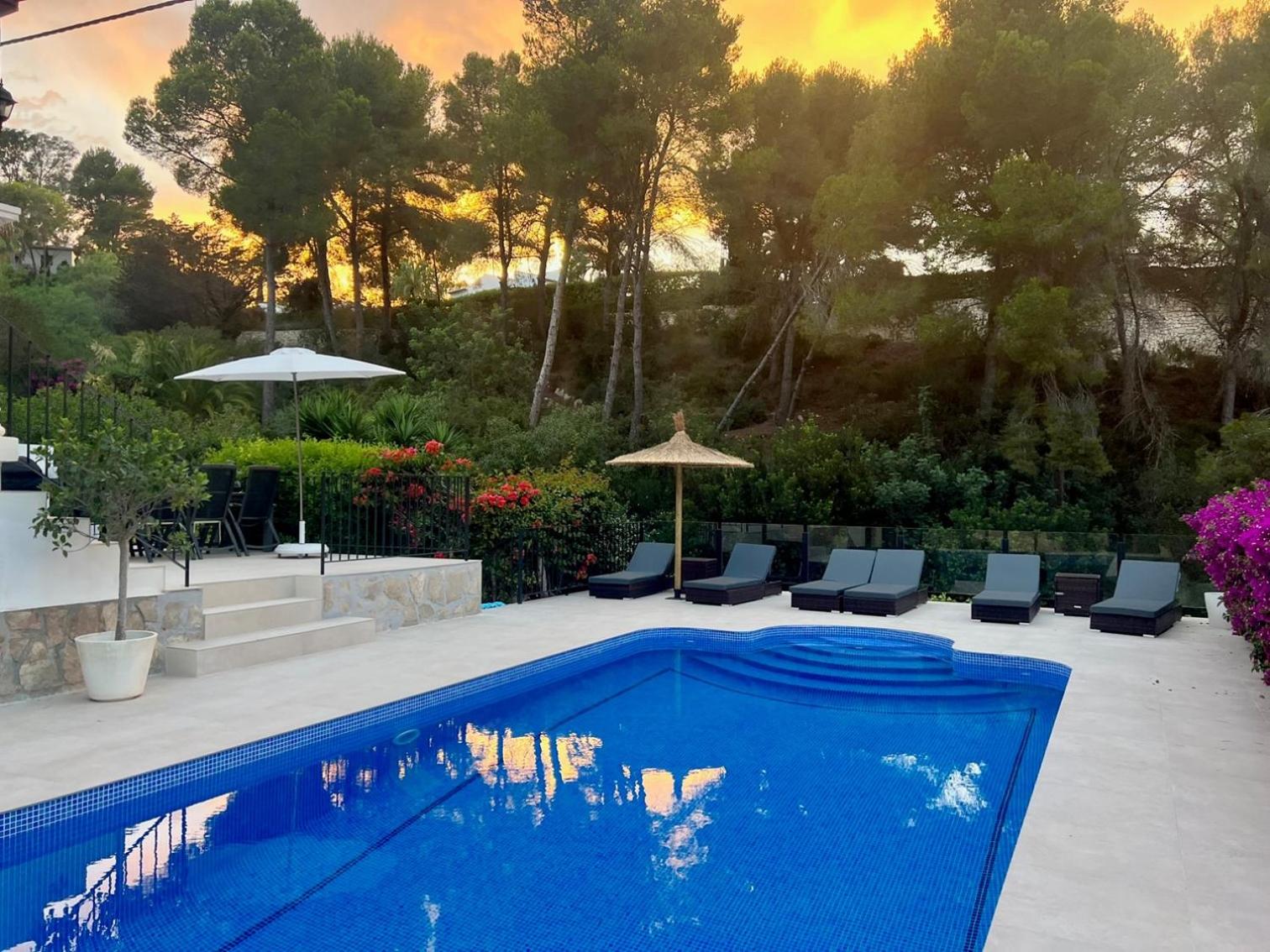 Palmera