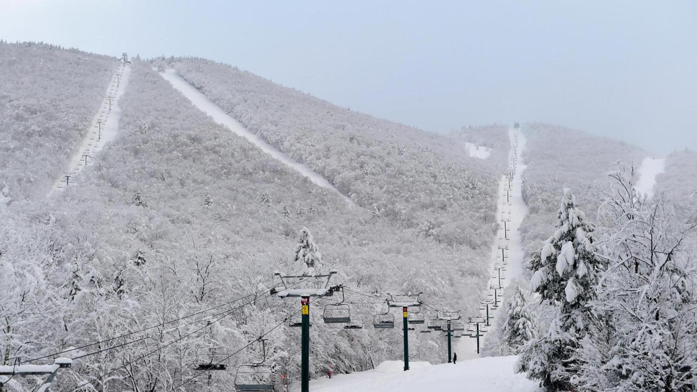 Moonlight Woods - Gardener's Log Cabin - Property Image 3