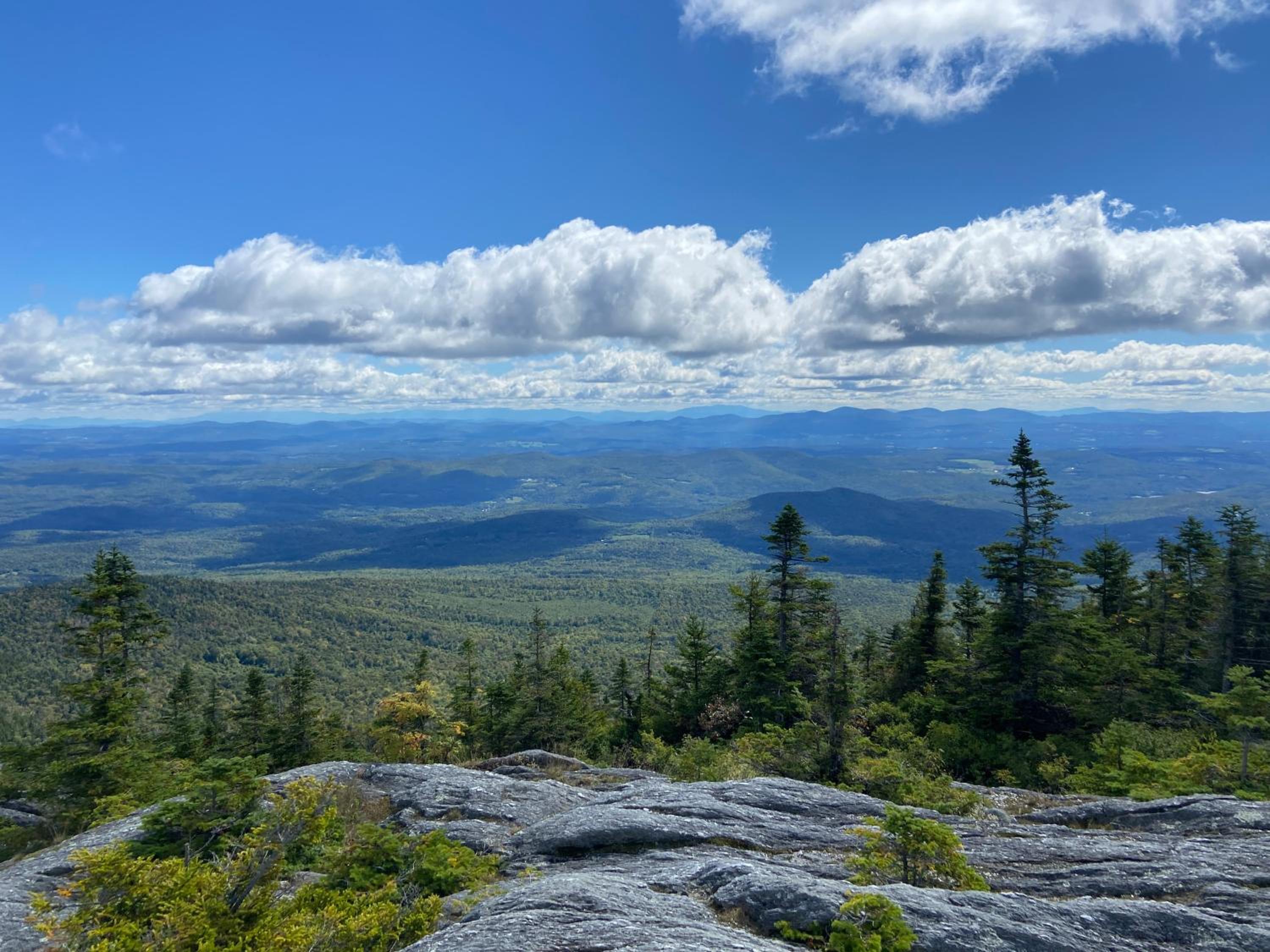 Moonlight Woods - Gardener's Log Cabin - Property Image 4