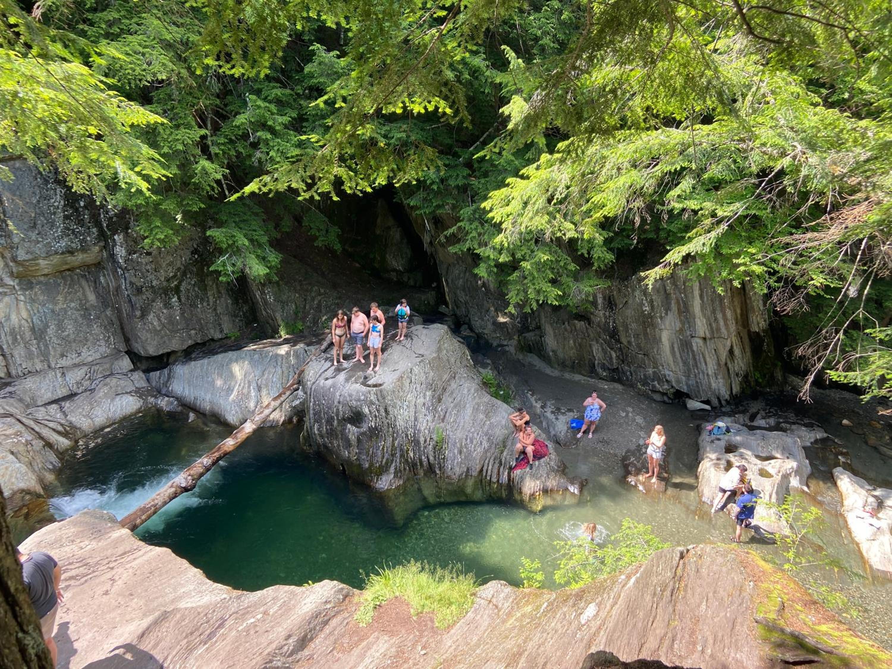 Moonlight Woods - Gardener's Log Cabin - Property Image 5