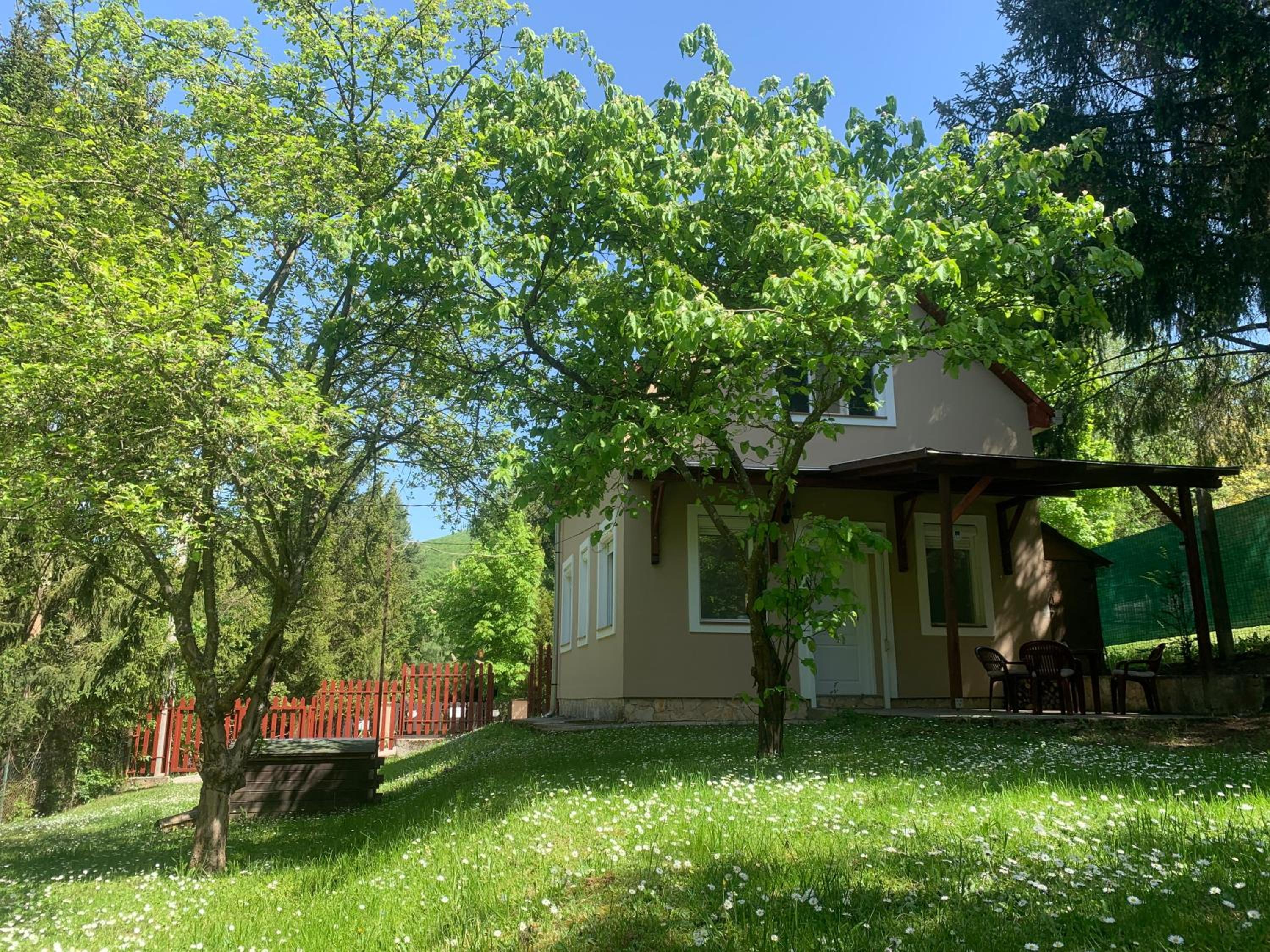 Mazsola