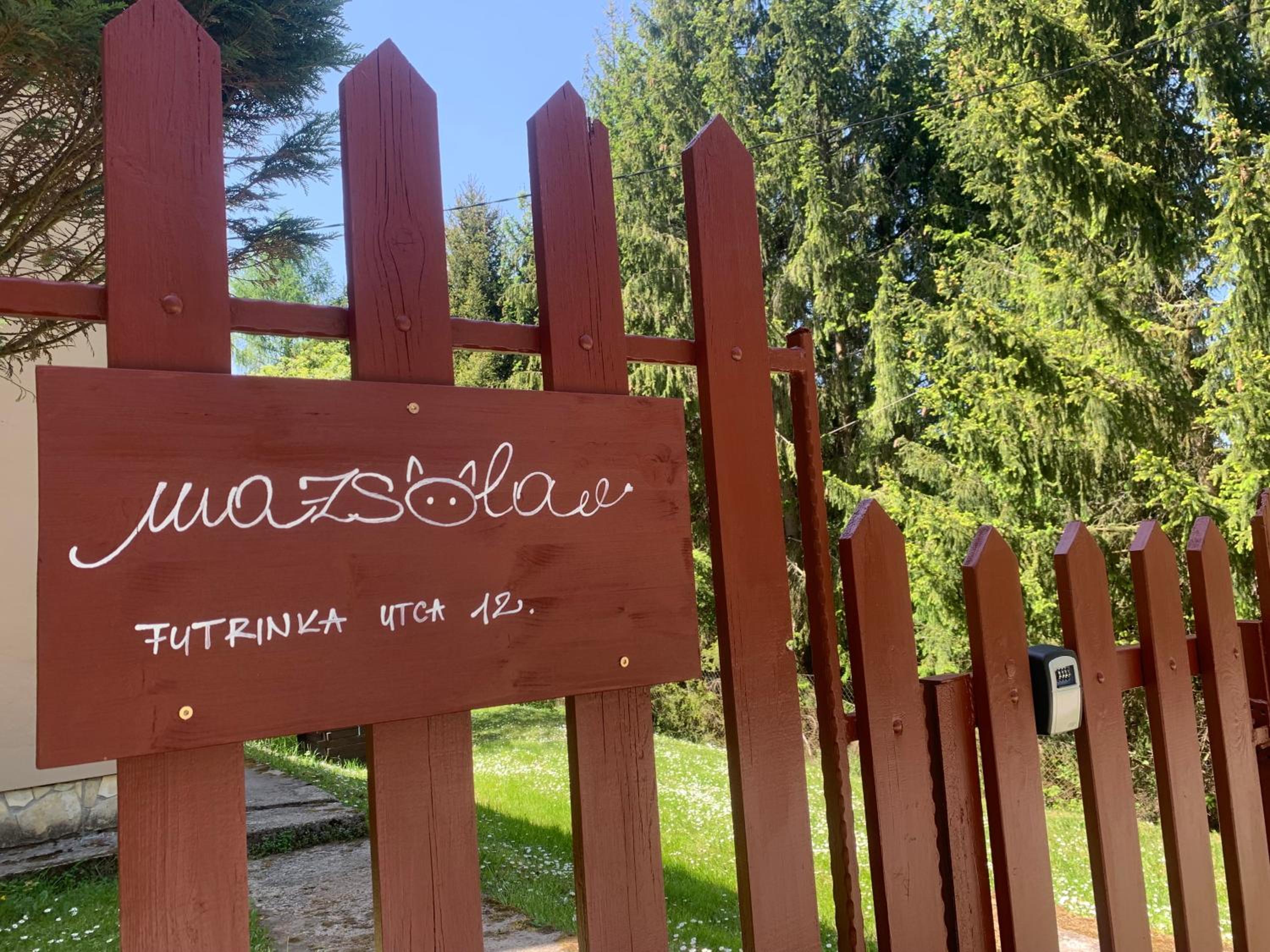 Mazsola