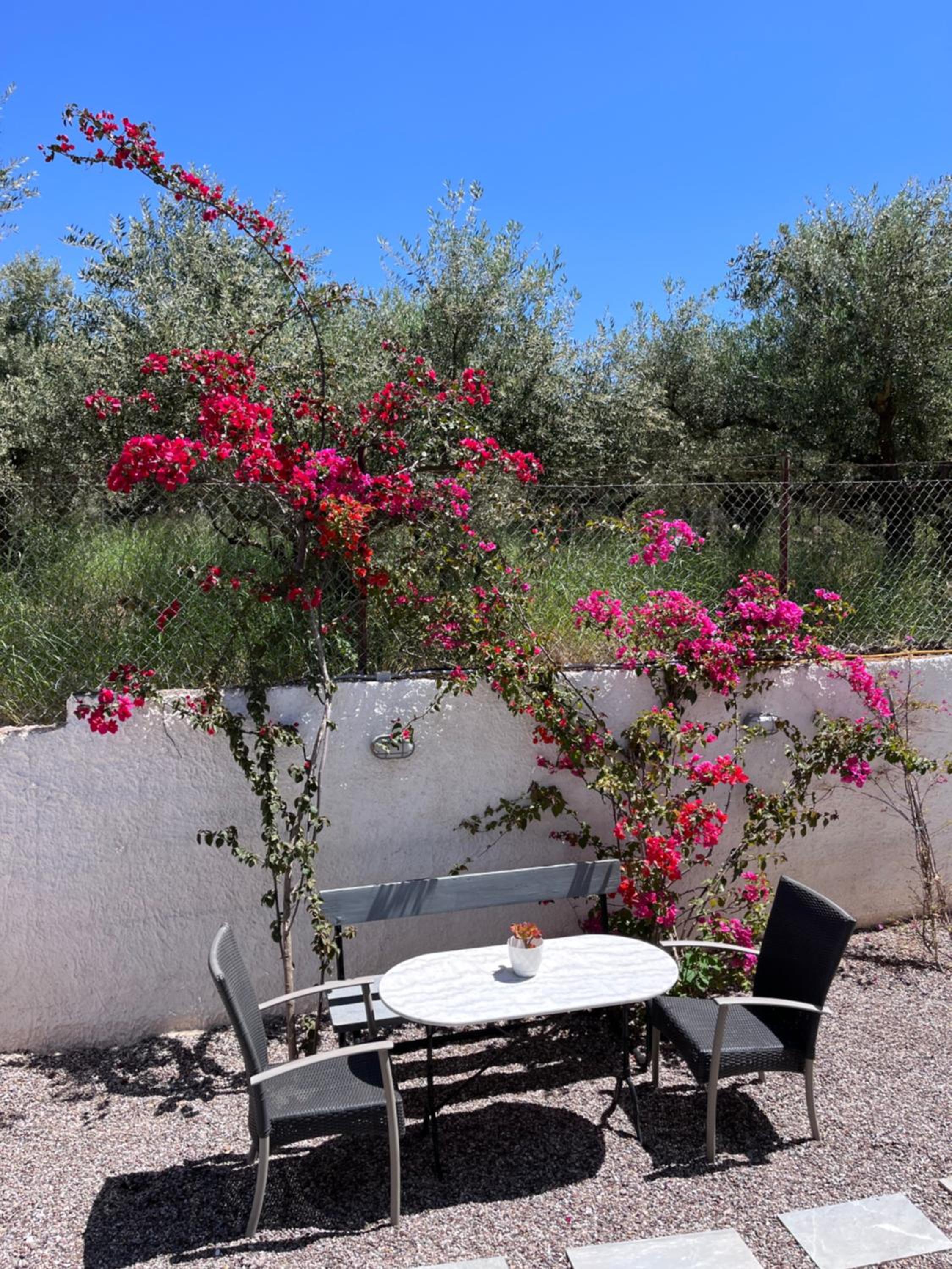 Villa Armonia