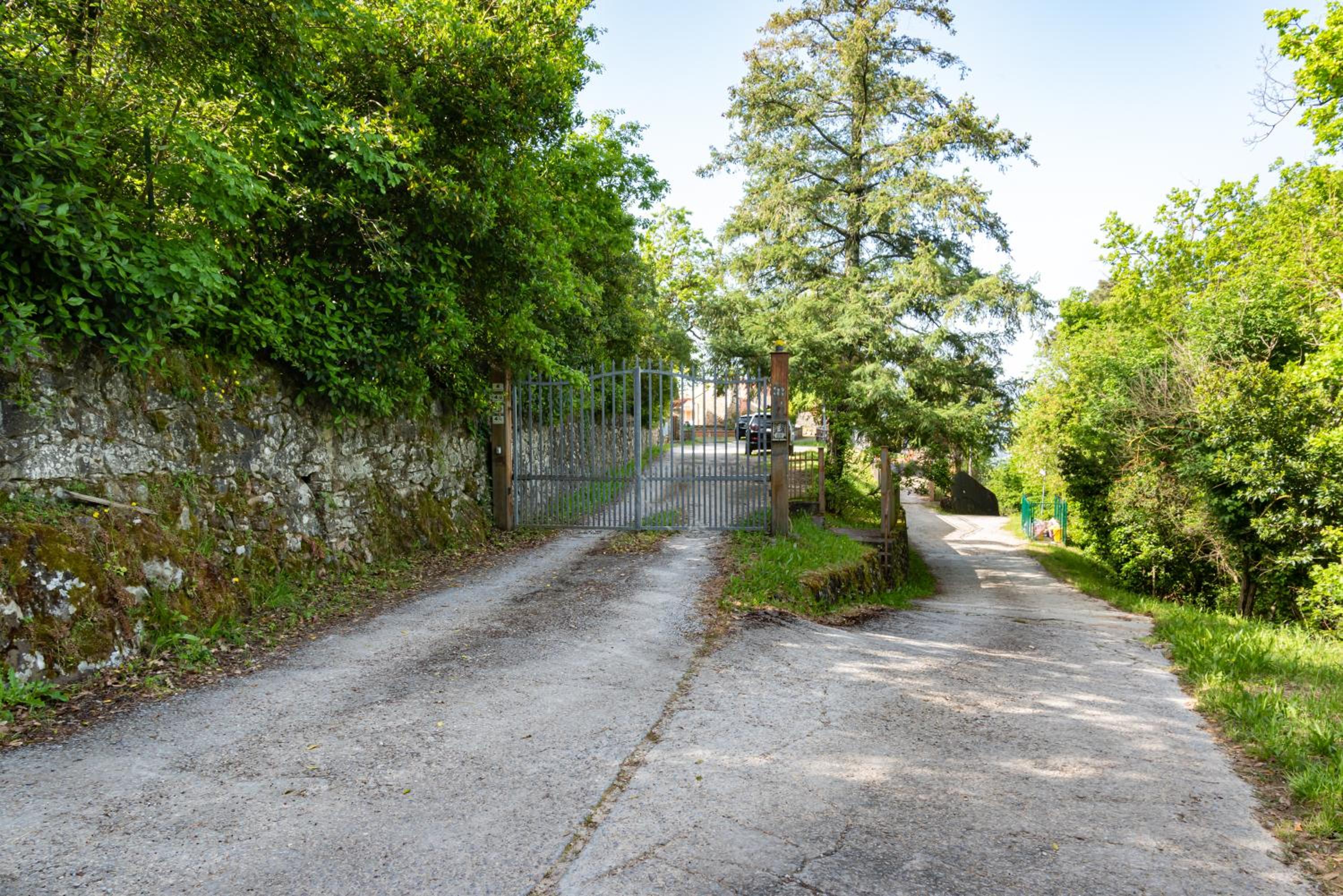 Il Nido Toscano view 3