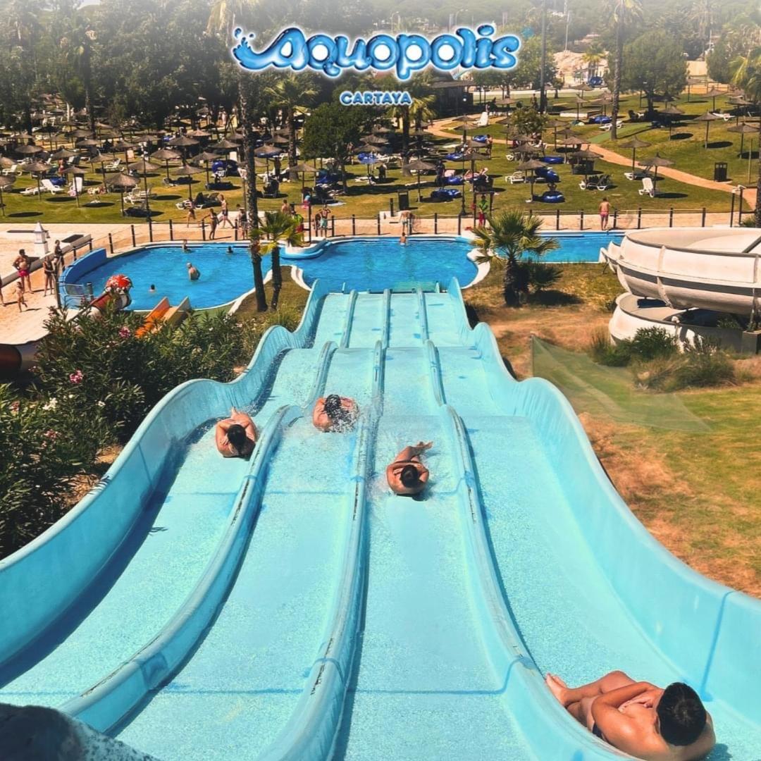 Pinos del Mar