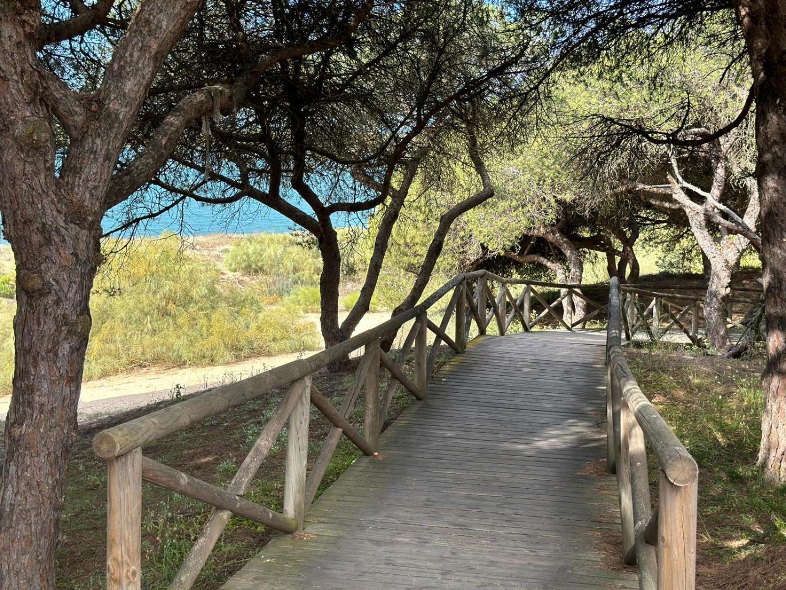 Pinos del Mar