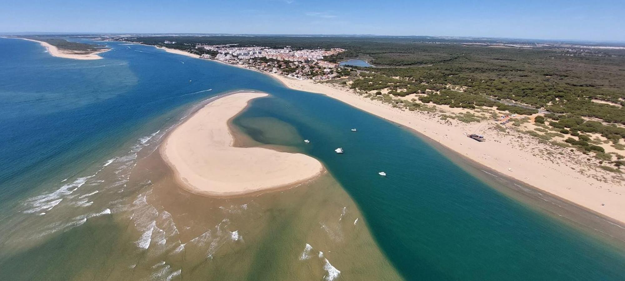 Pinos del Mar