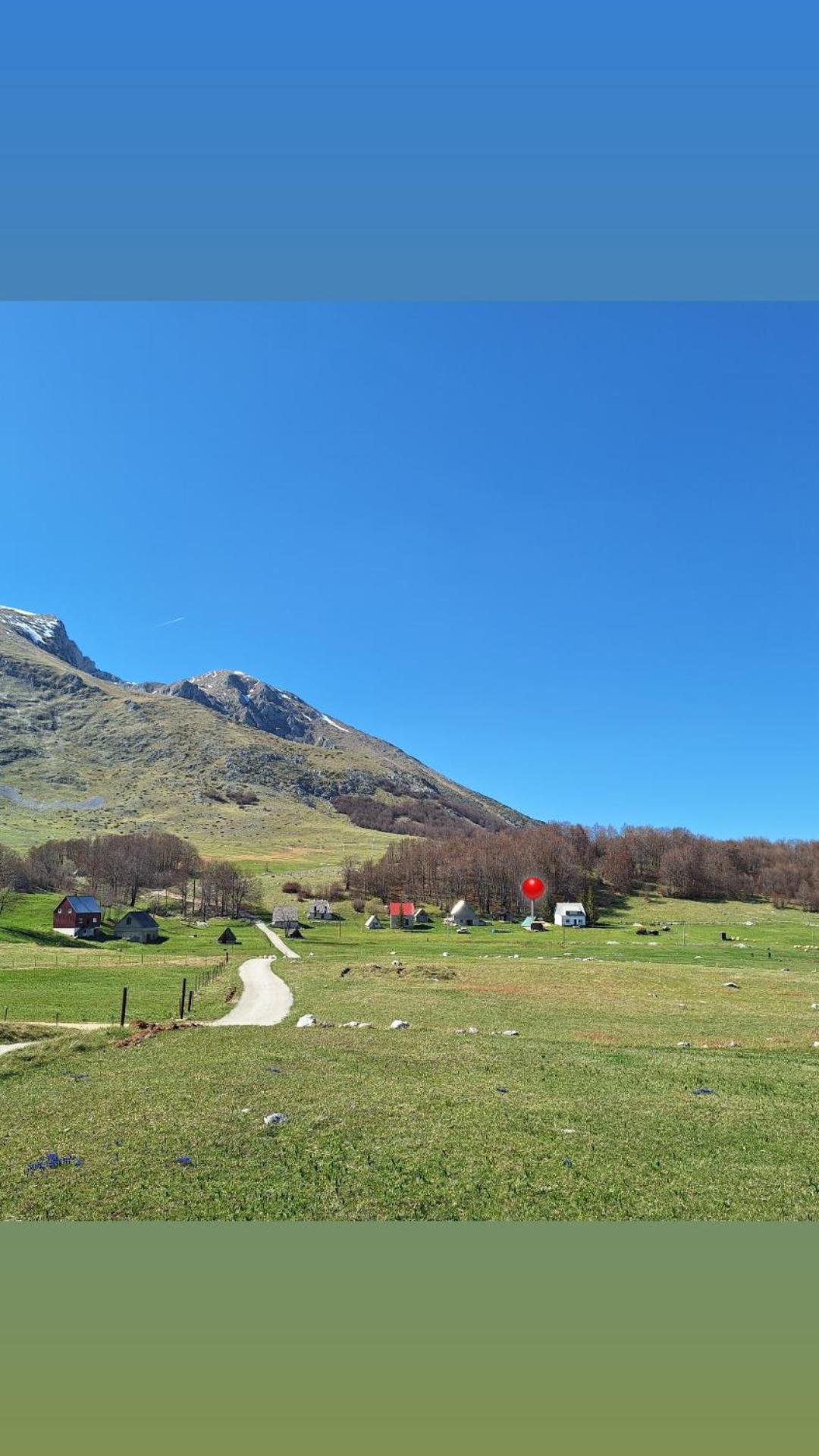 Koliba