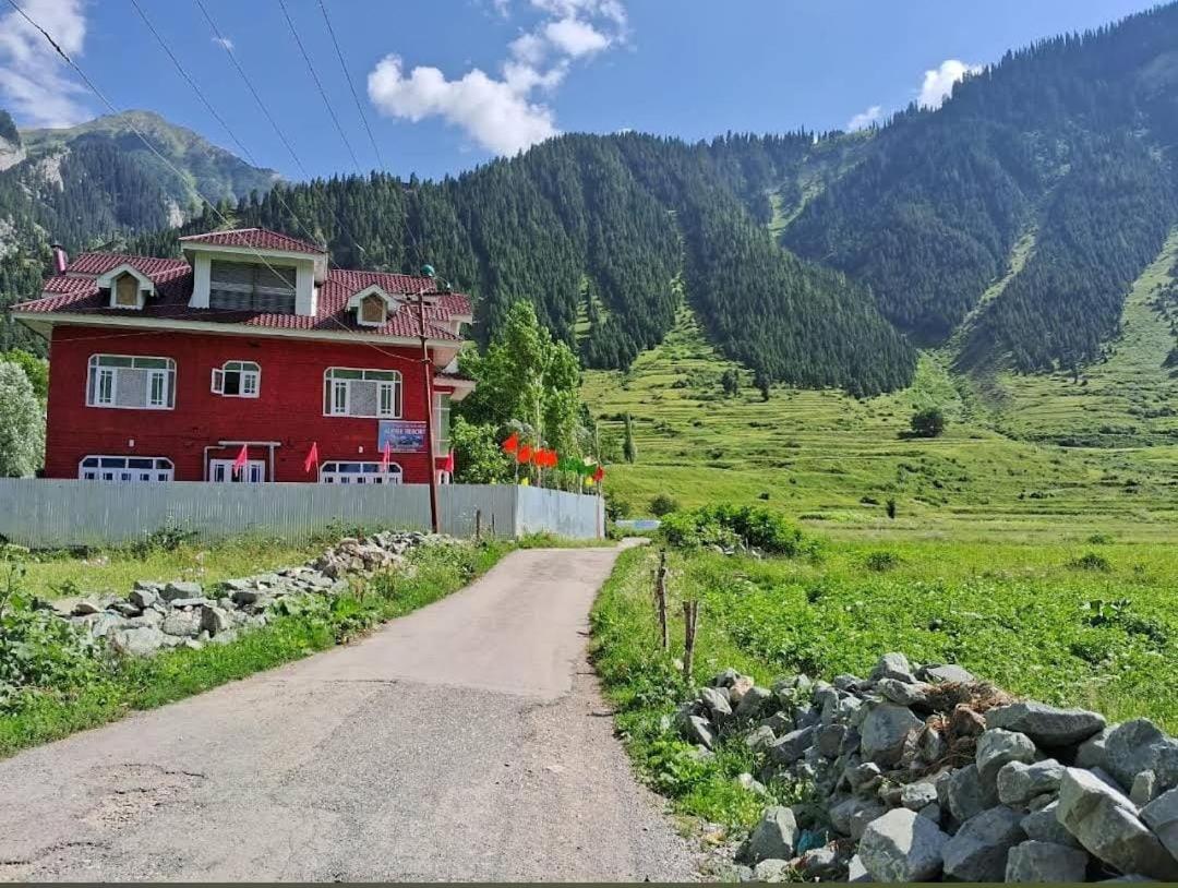 ALPINE Resort view 4