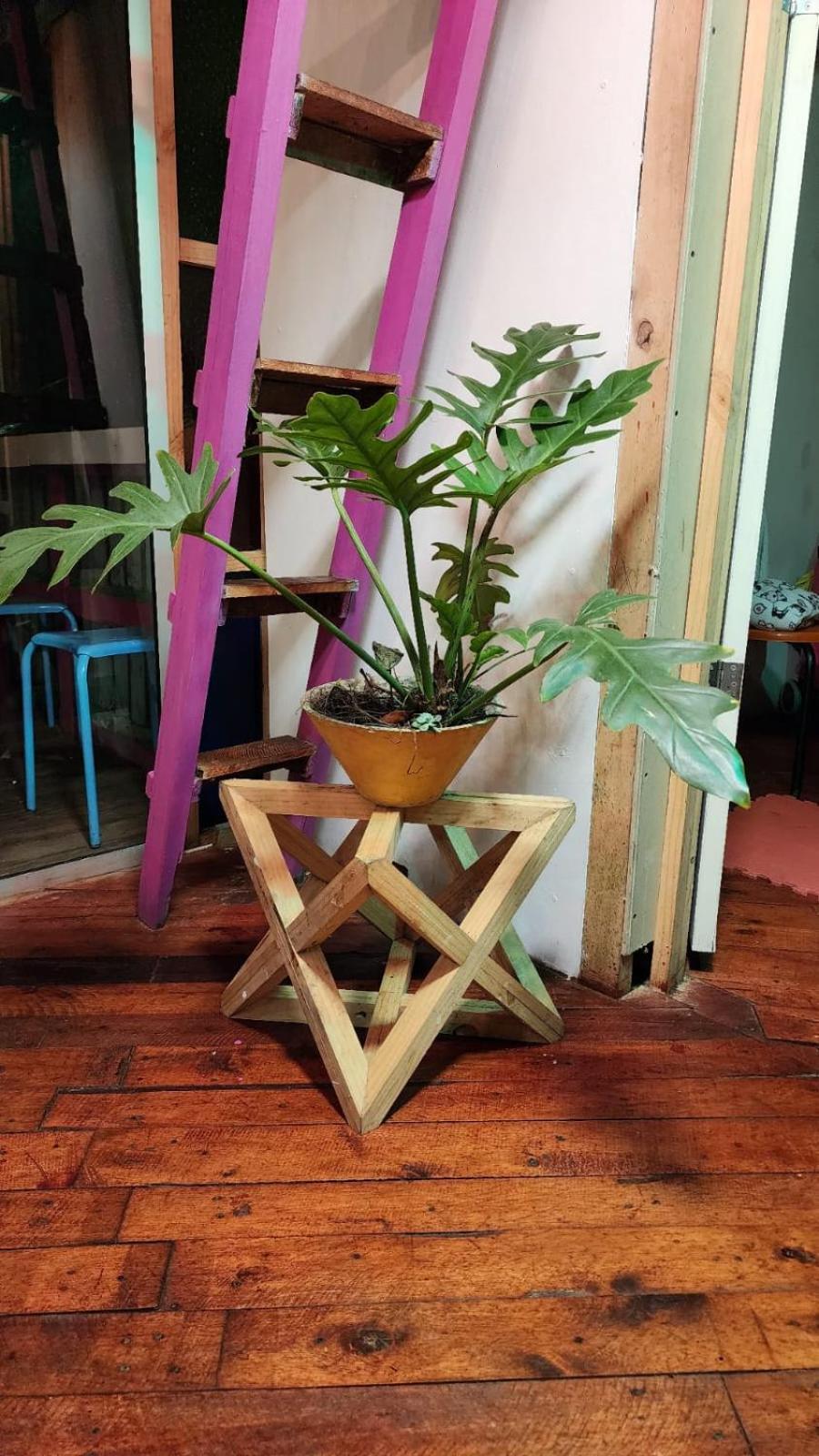 CENTRO HOLISTICO ALLPA SAMAY