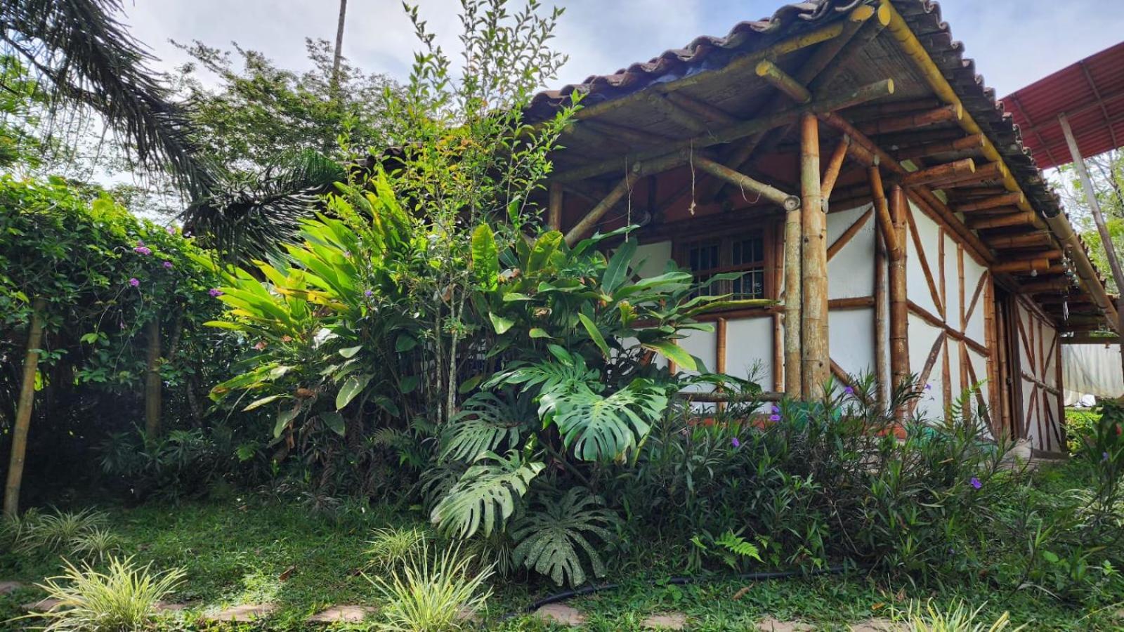 CENTRO HOLISTICO ALLPA SAMAY