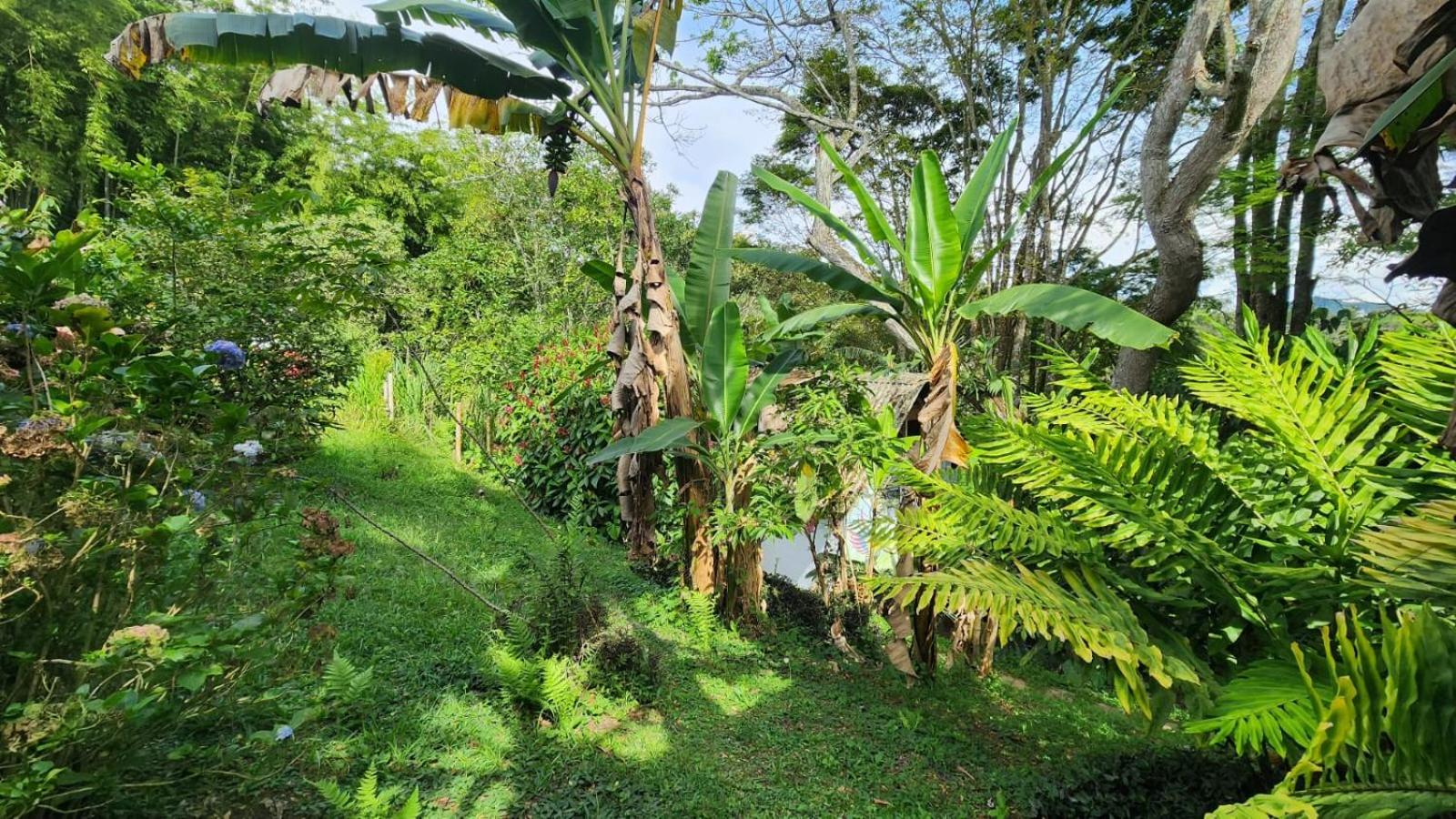 CENTRO HOLISTICO ALLPA SAMAY