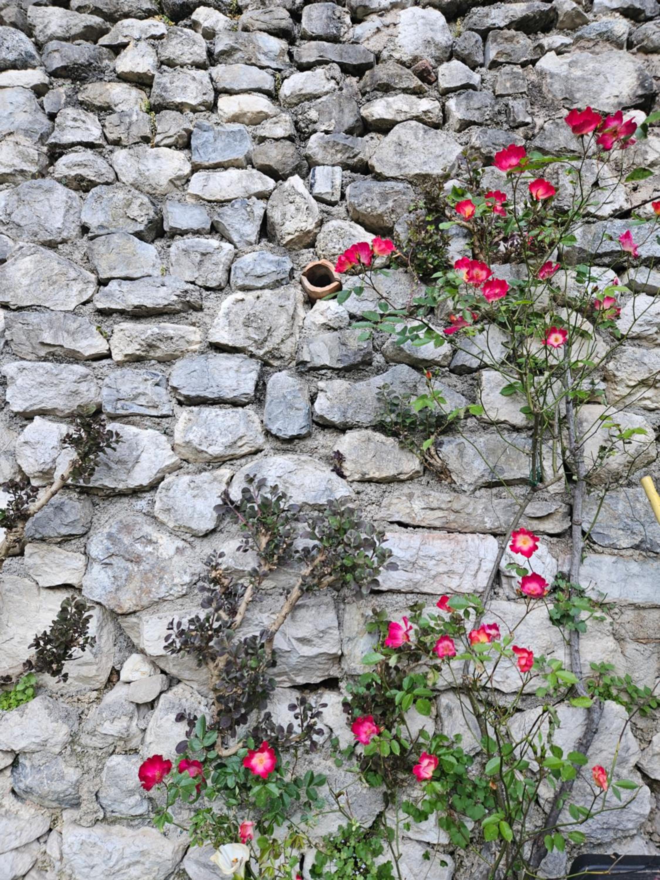 GARDAINN GIARDINO 38a photo 3