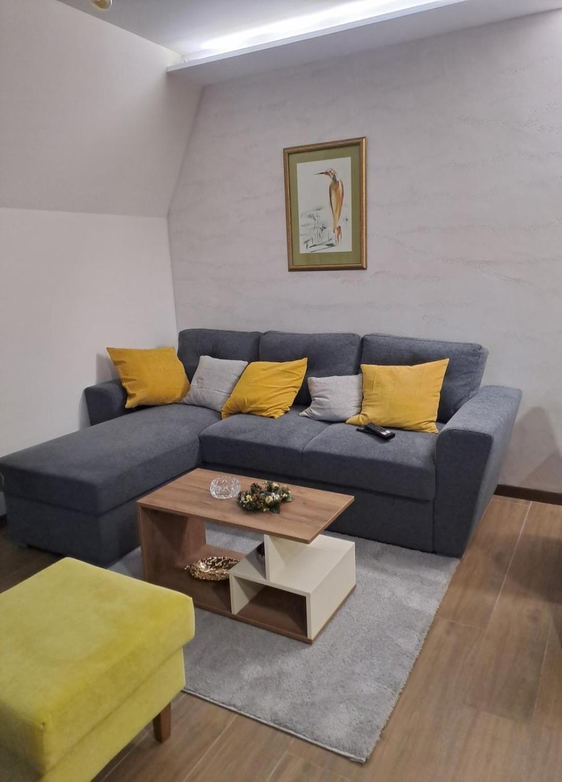 Lux Apartman Crni vrh view 5