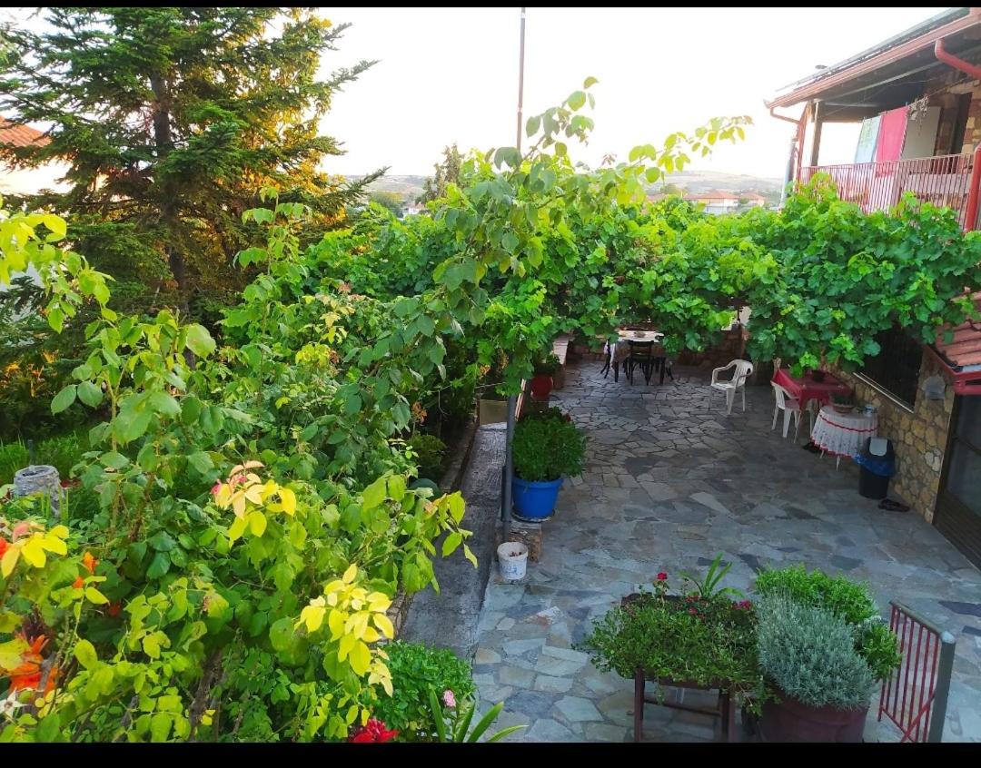 Sunflower Apartment