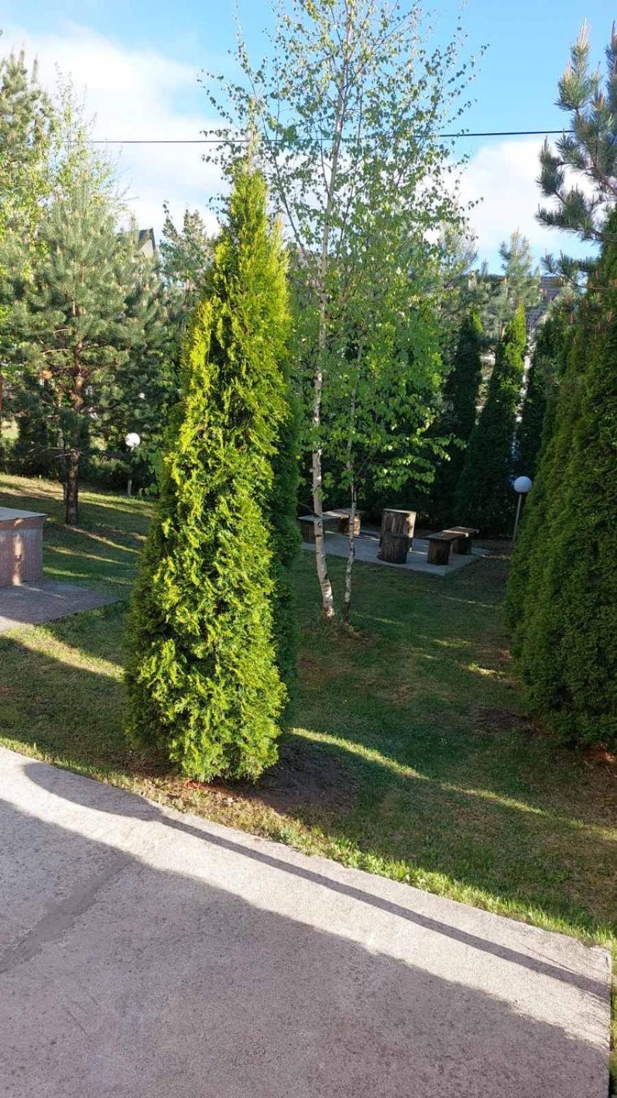 Photo 38
