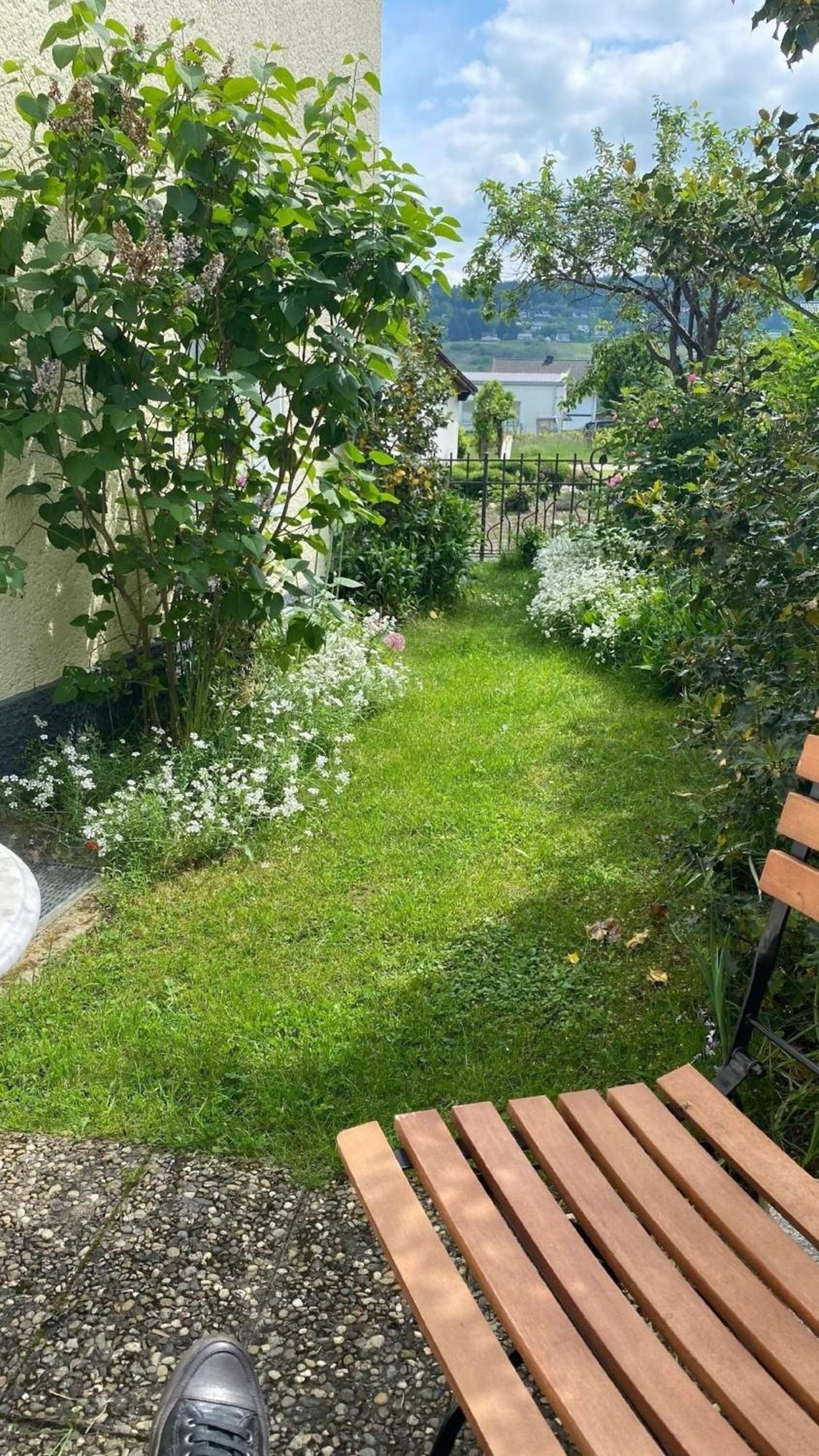Auszeit Trittenheim view 3