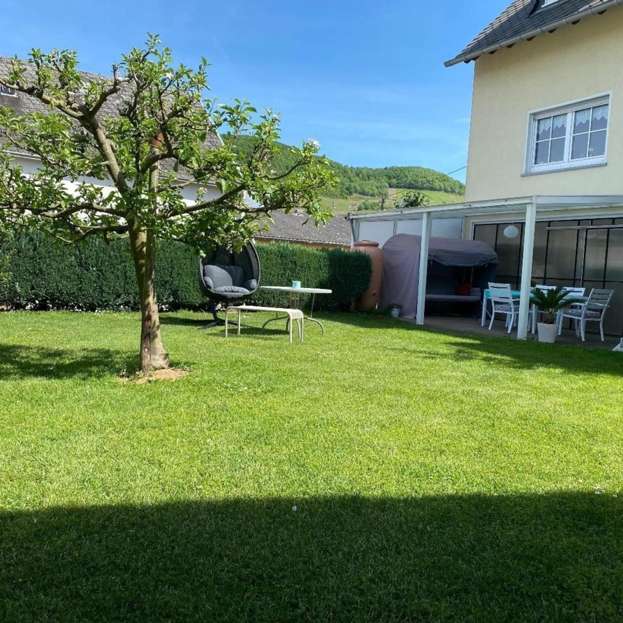Auszeit Trittenheim view 4