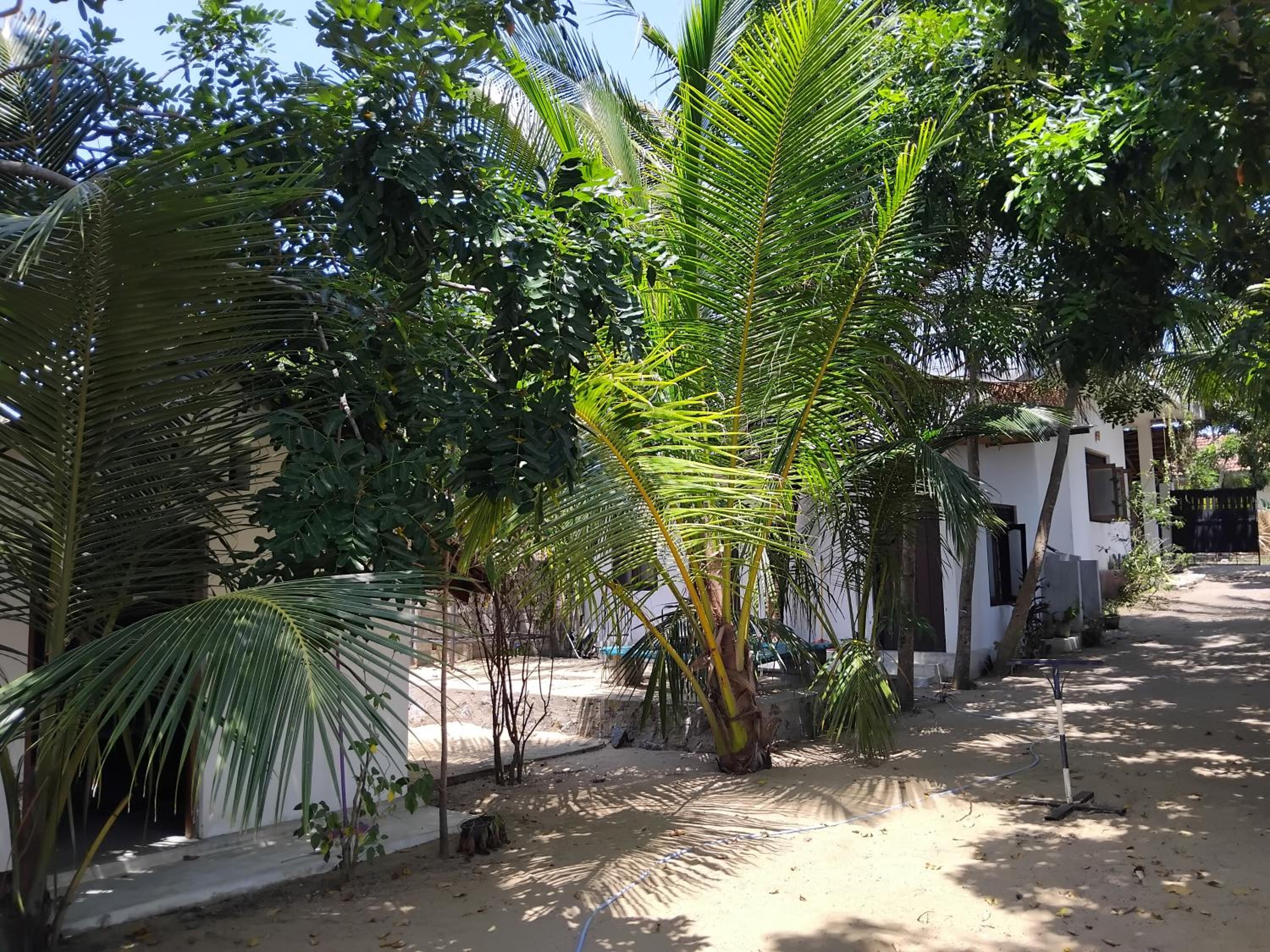 20 House Villa