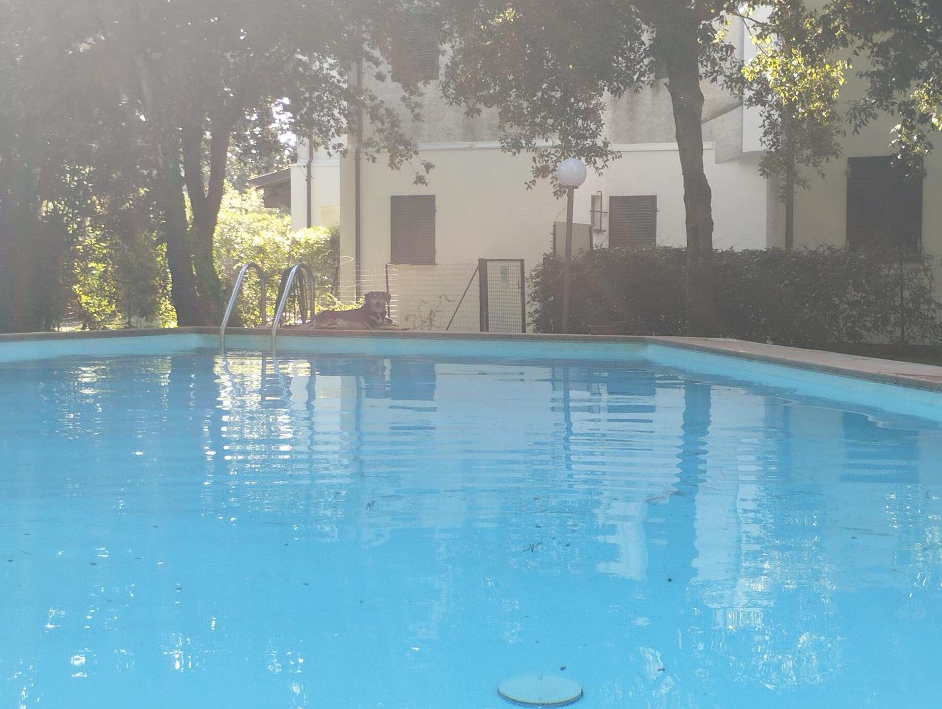 casa tra mare e montagna a Forte dei Marmi view 5