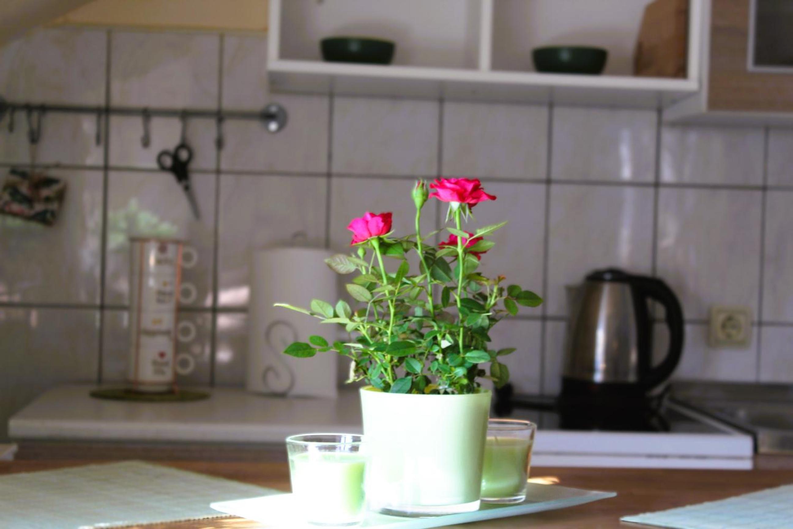 Svila Apartmani