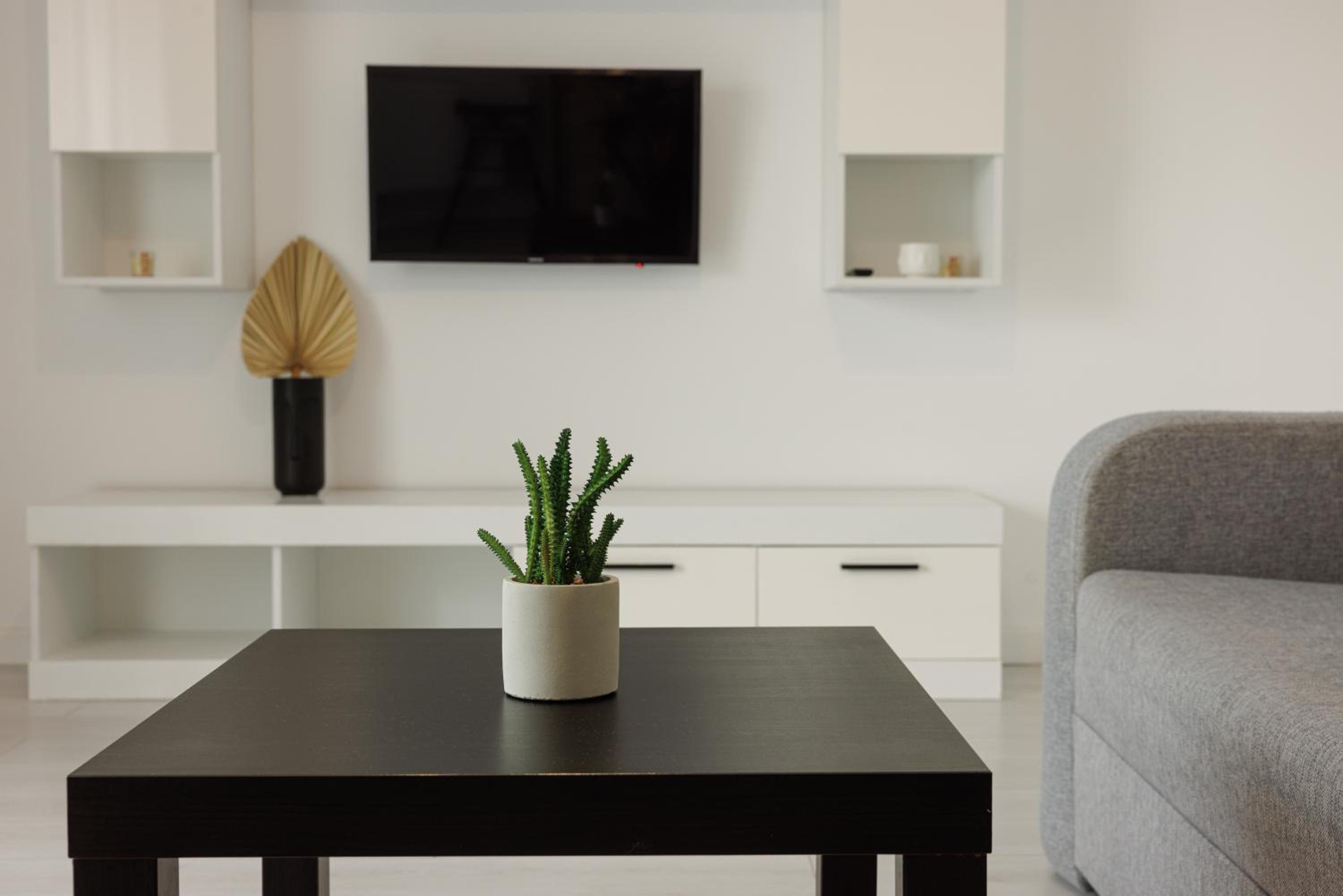Runcu Apartment