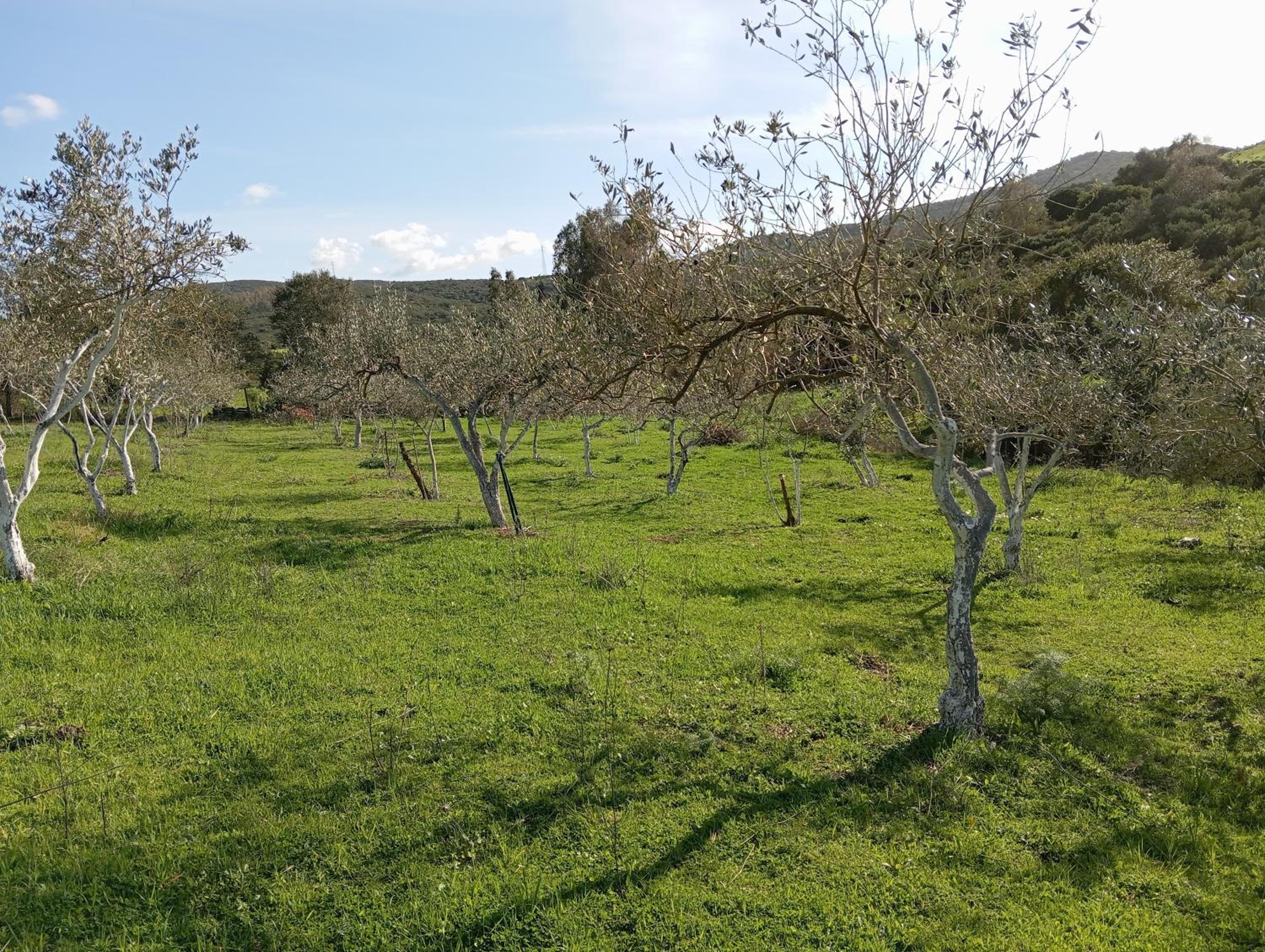 Da Nonno Francesco view 3