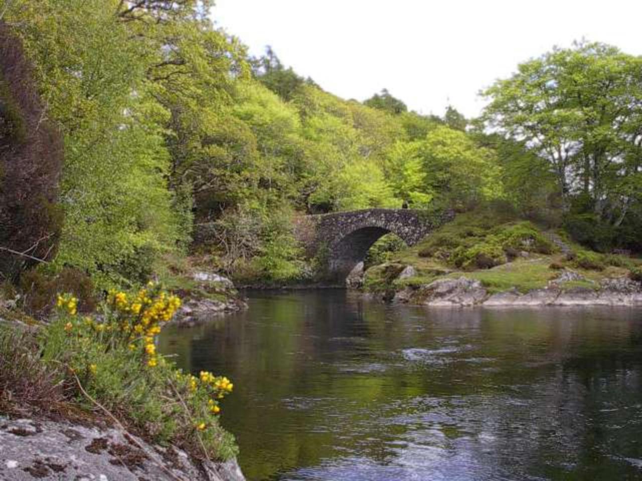 Rowanhill Cottage