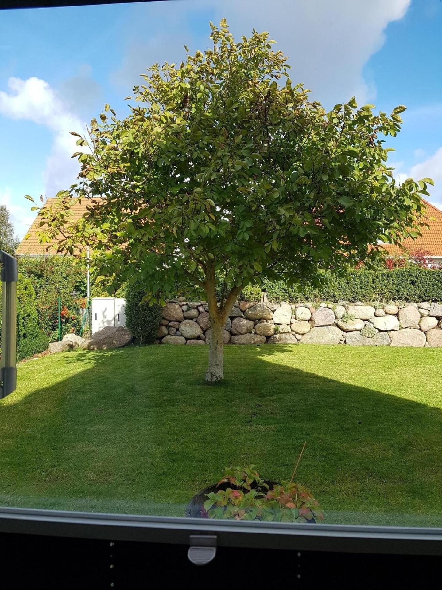 Ferienhaus Ankerplatz In Börgerende Rethwisch