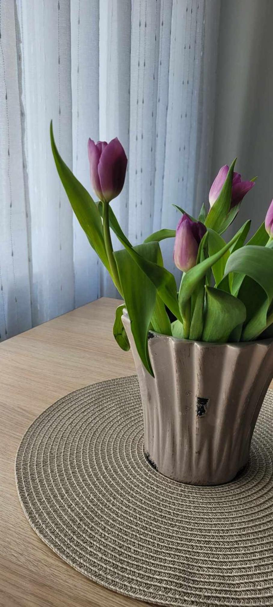 Pärnu südalinna majutus