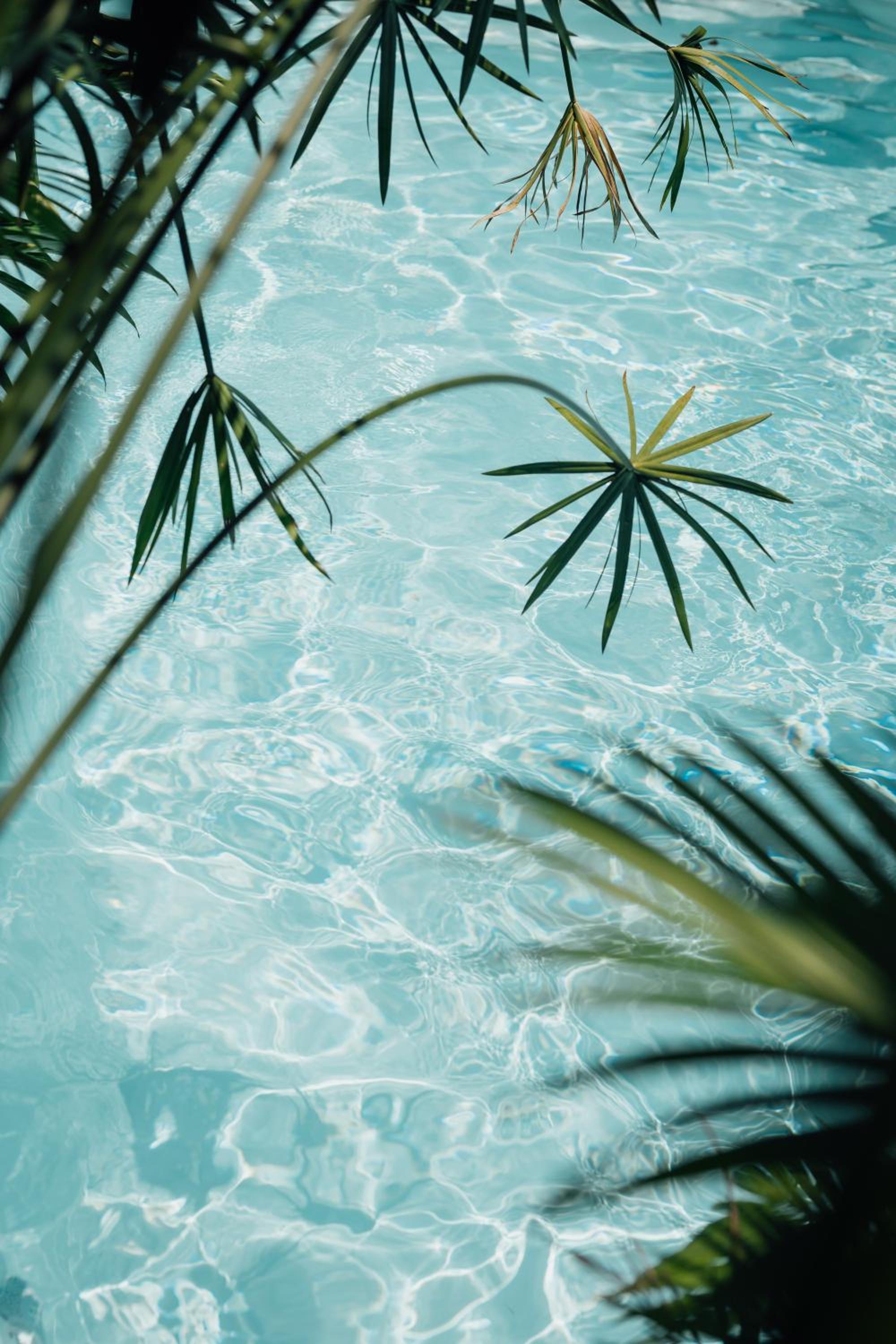 Kanoa Lodge - Adults and 18 plus only