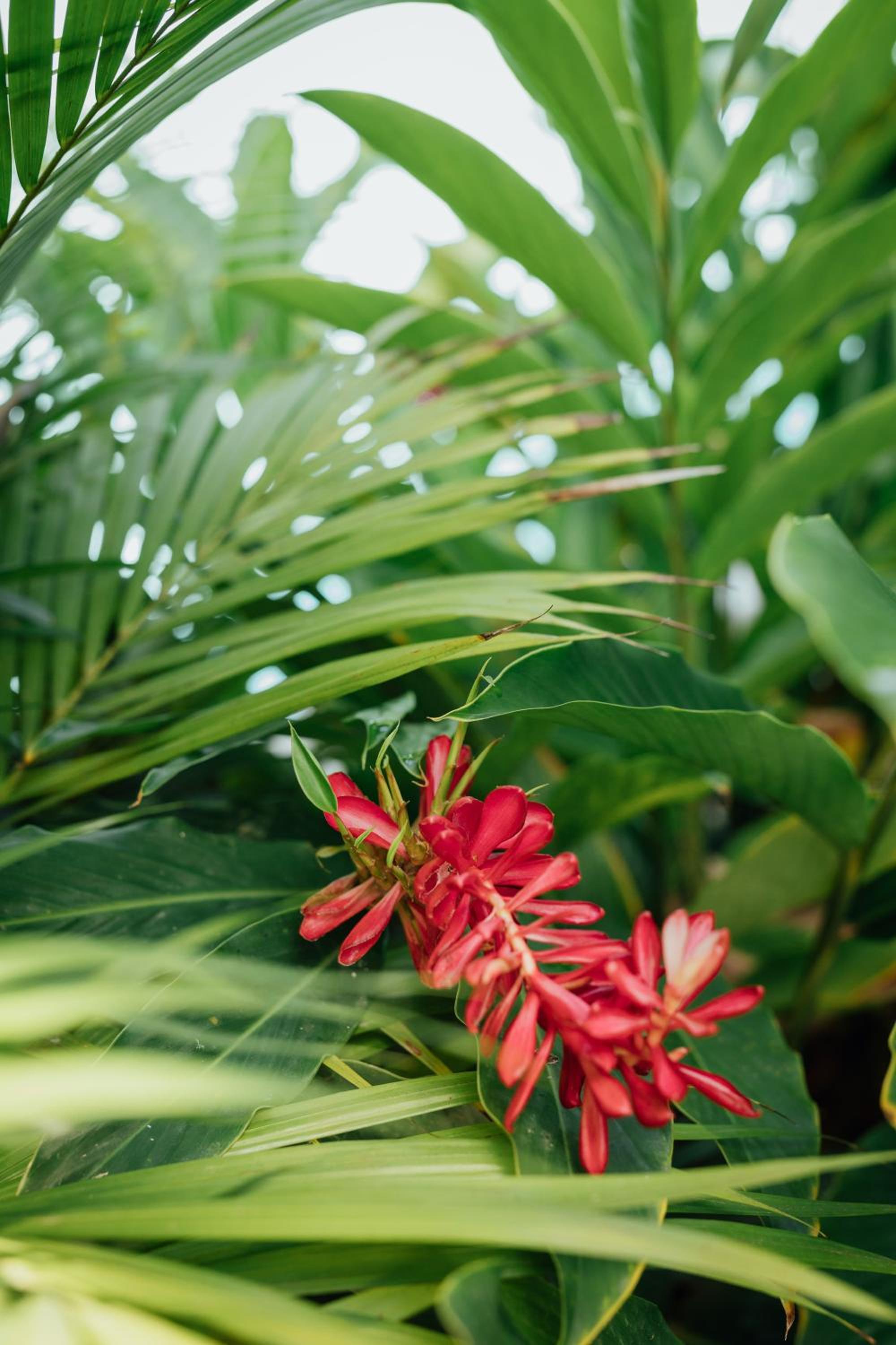 Kanoa Lodge - Adults and 18 plus only