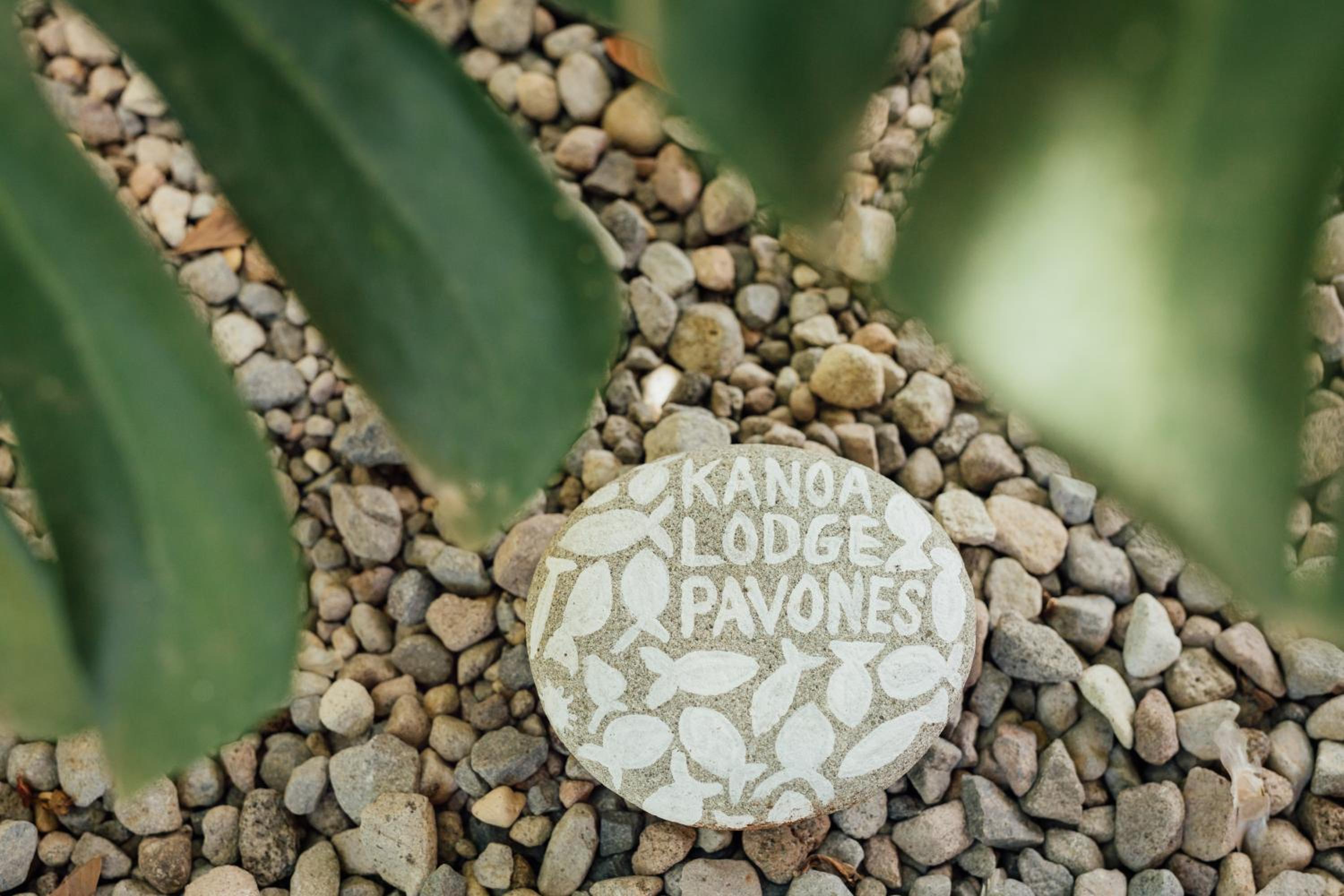 Kanoa Lodge - Adults and 18 plus only