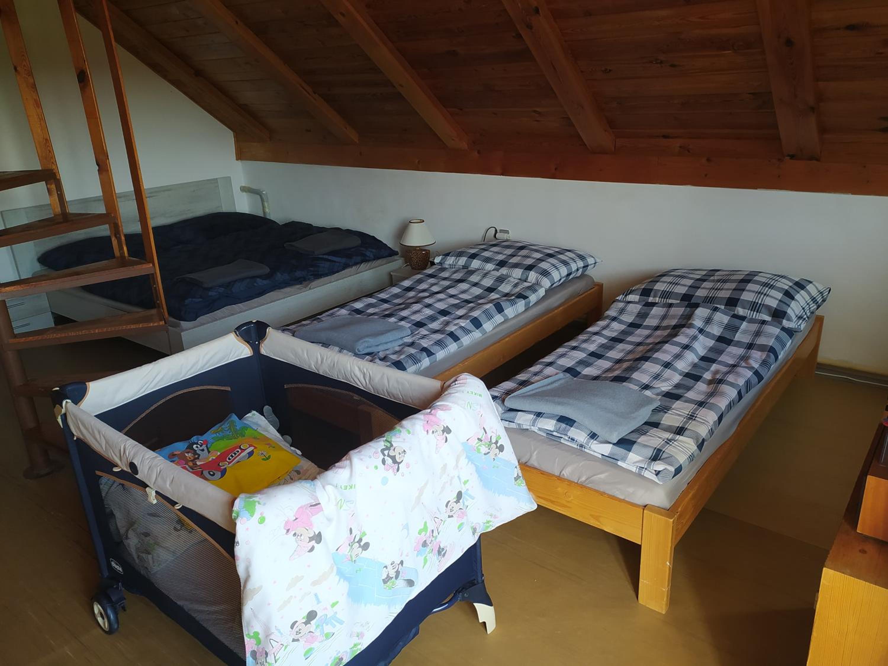 Apartmán u lesa u Adršpachu