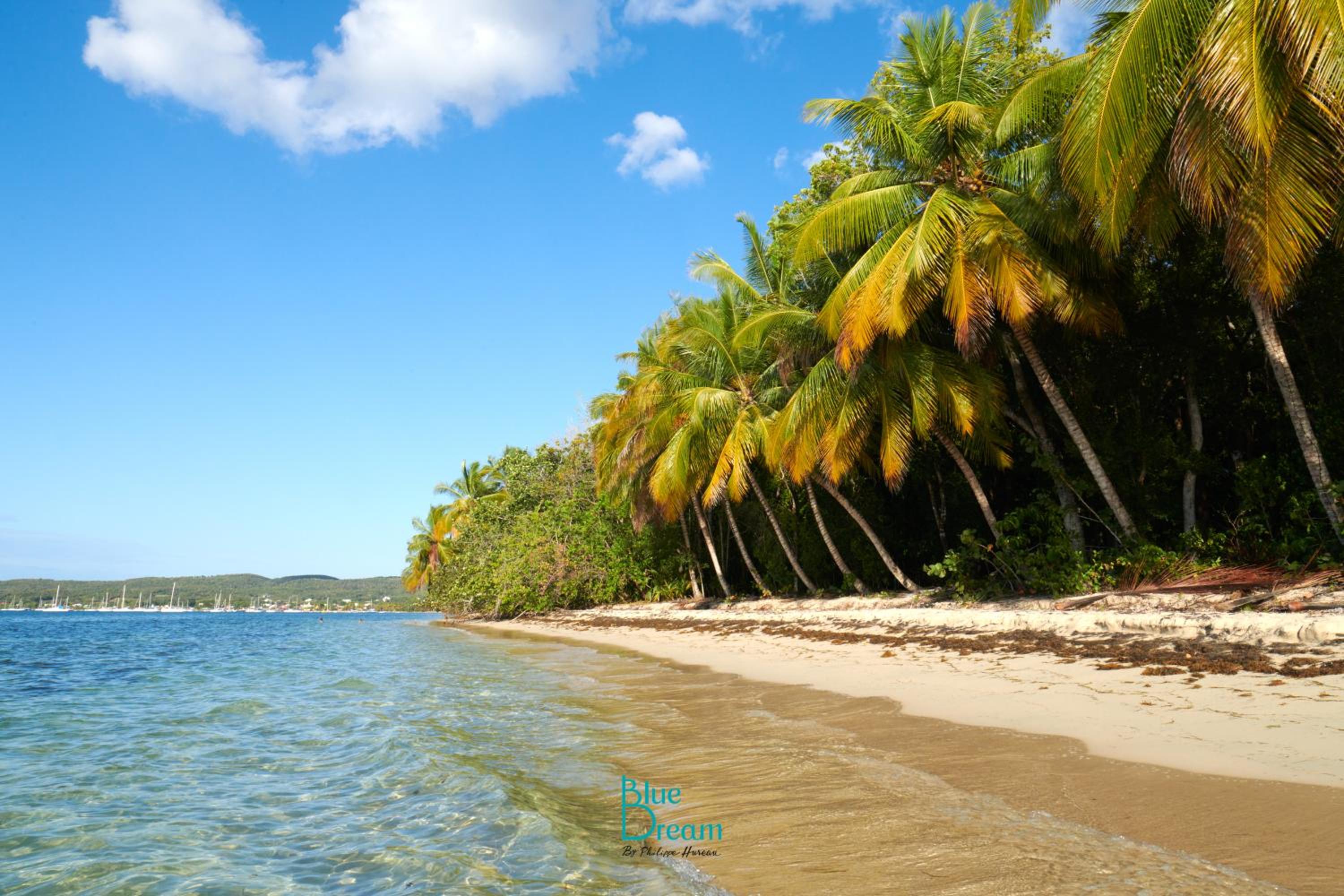 Le Kanmpo - 2 min - Plage sans sargasse - Cocon créole pour couples - Marie-Galante view 2