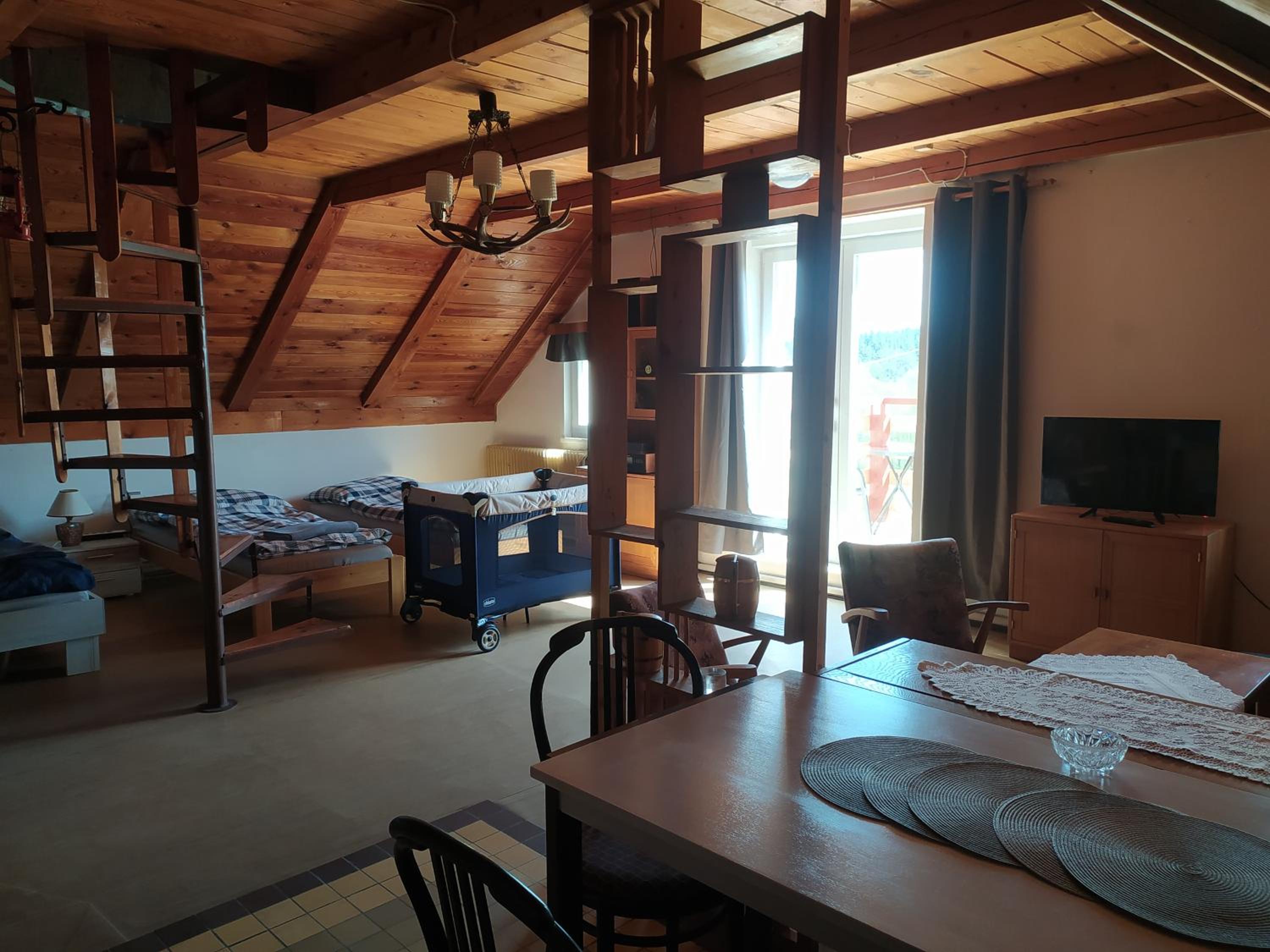 Apartmán u lesa u Adršpachu
