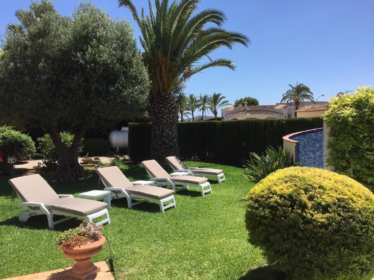Traumvilla Segaria in Els Poblets-Denia-Alicante, 165m2 mit grossem Pool, 900m2 Parkgrundstück view 4