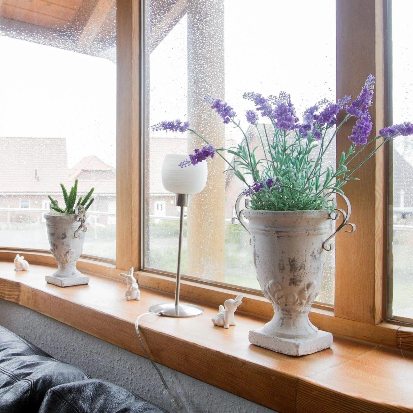 Ferienwohnung Moin Moin In Friedrichskoog Spitze