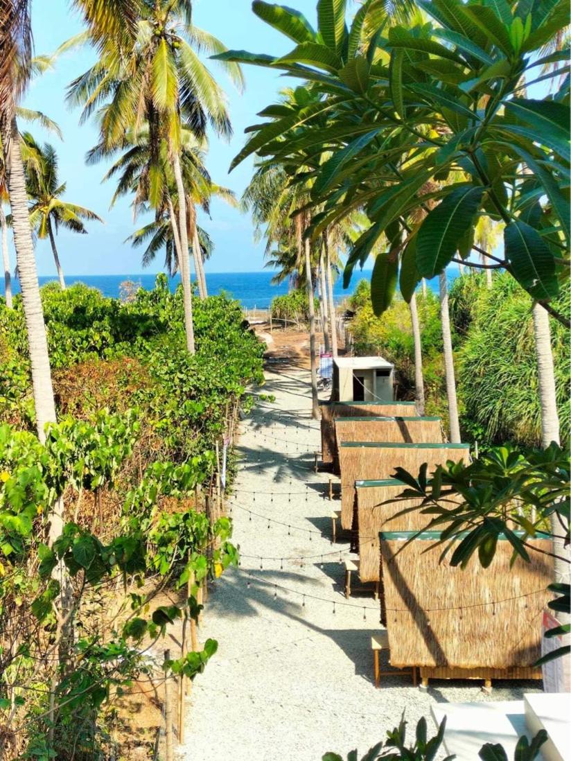 Patar Palms view 2