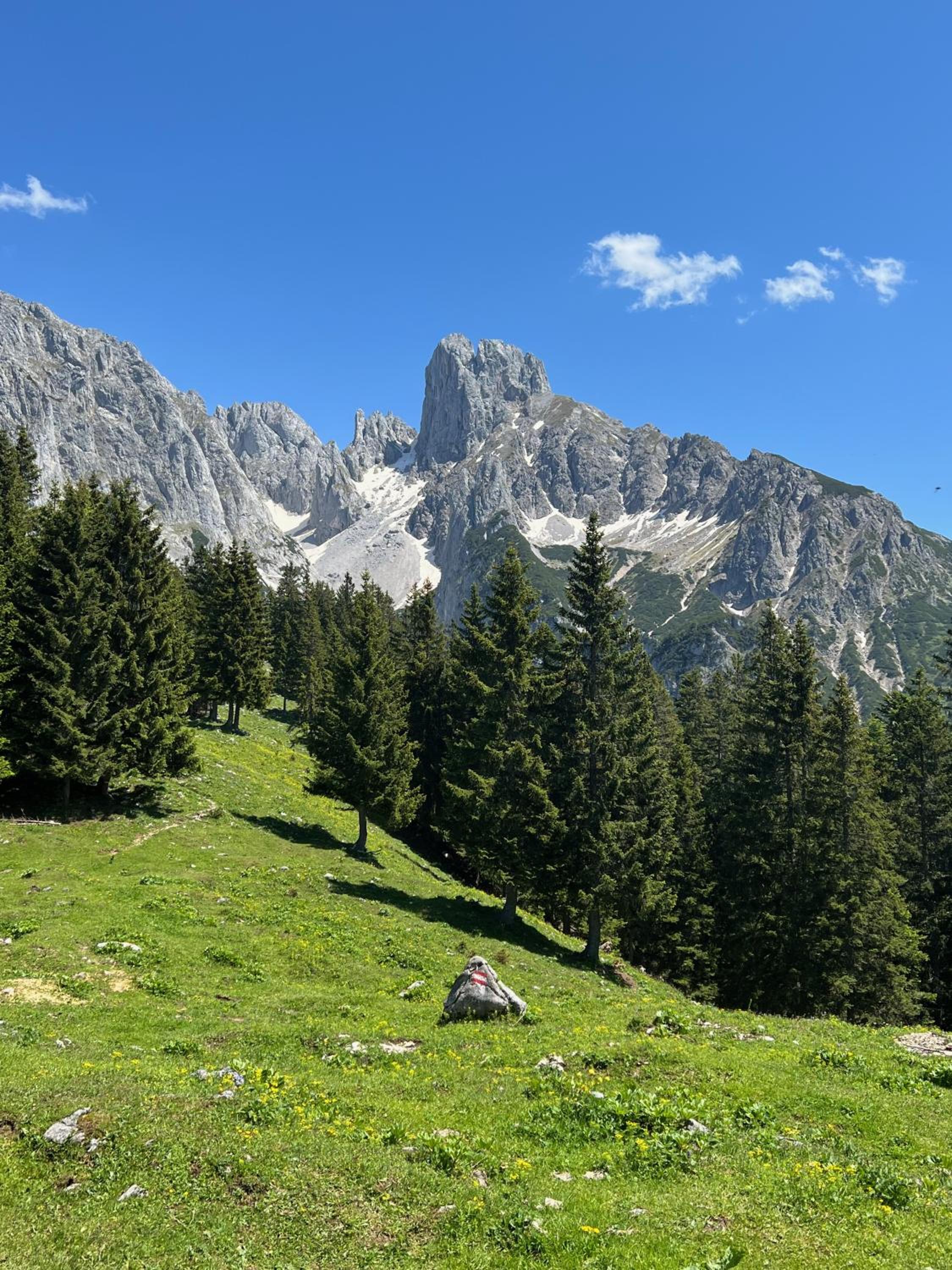 Chalet Bischofsmütze - Direkt an der Skipiste im Skigebiet Dachstein West