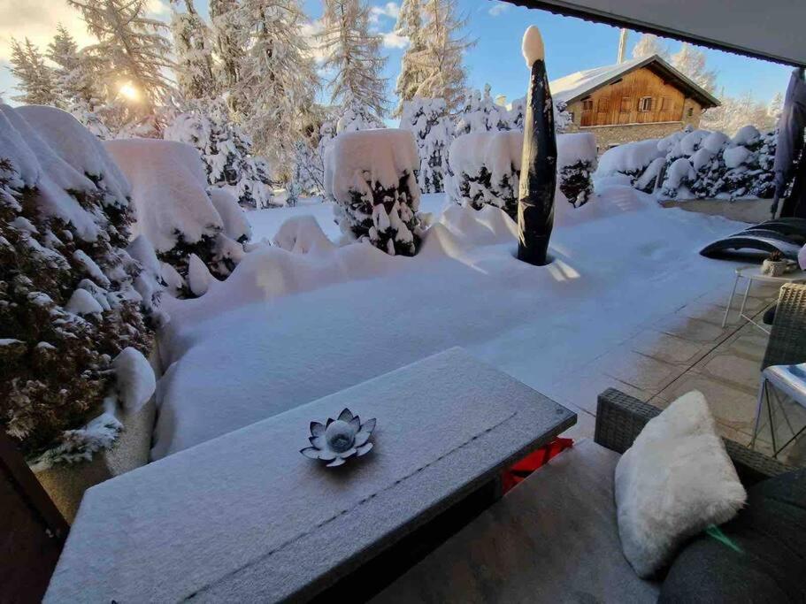 Le Serenity - bright - cozy - central
