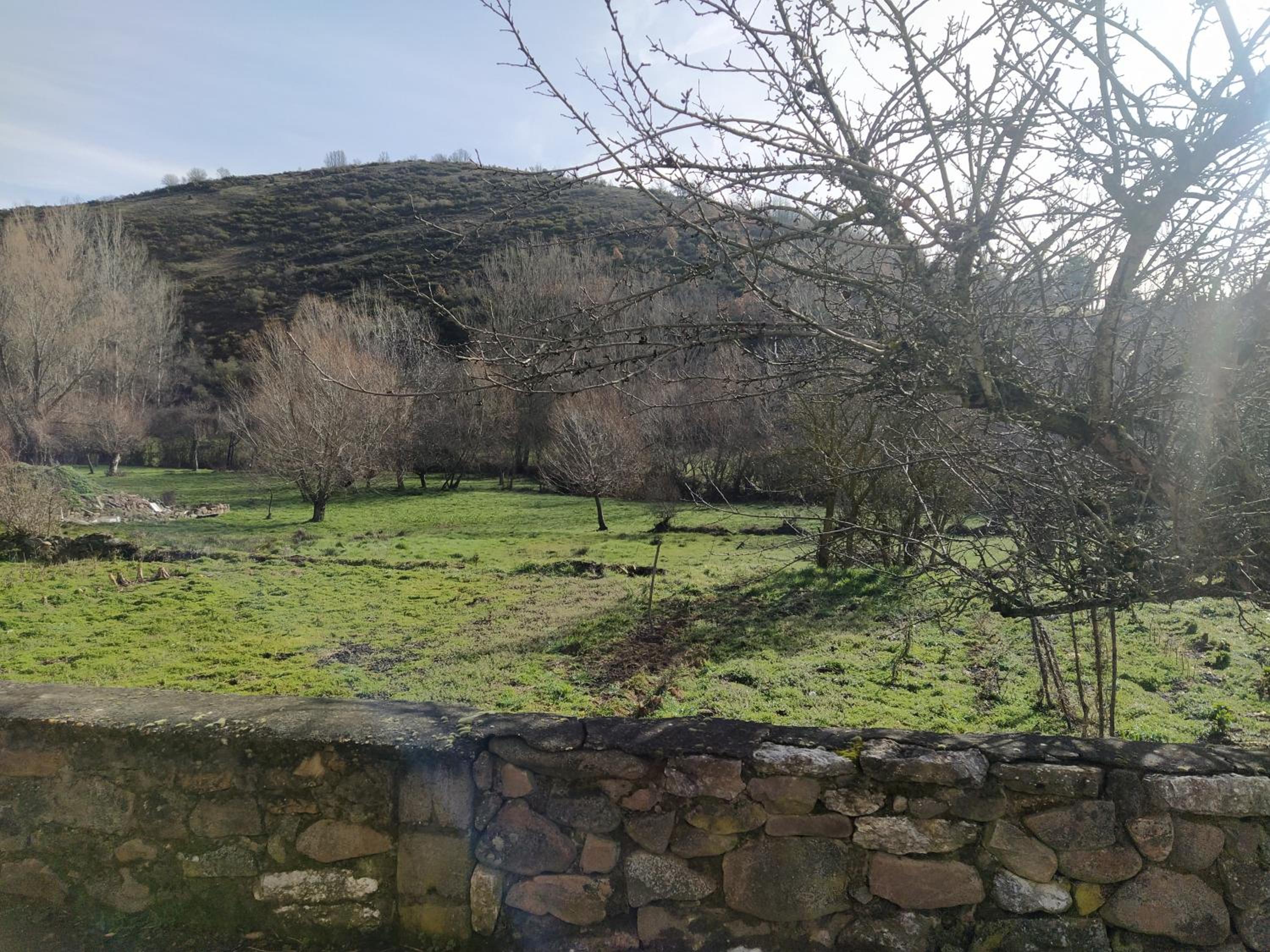 La casa del pueblo el Berrugón view 5