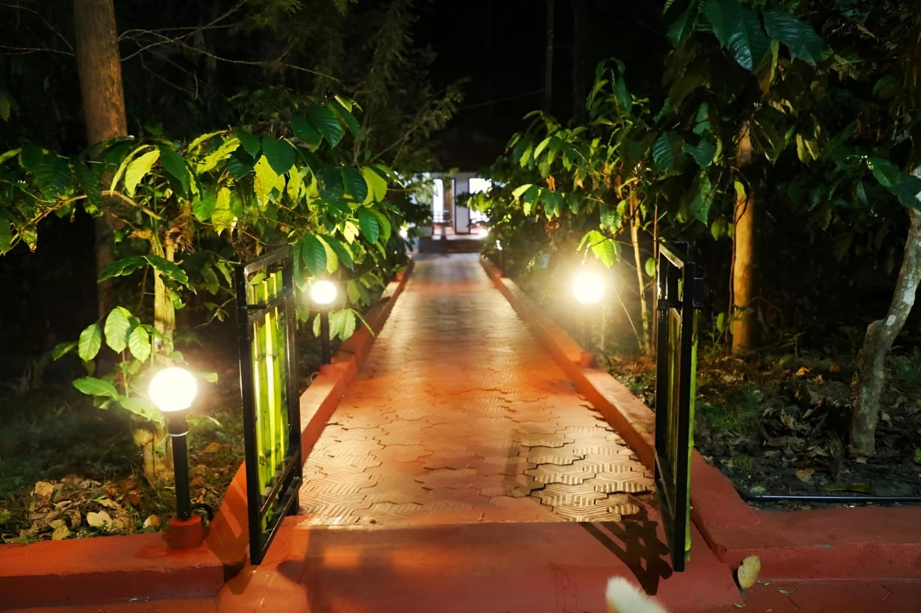 Photo 33