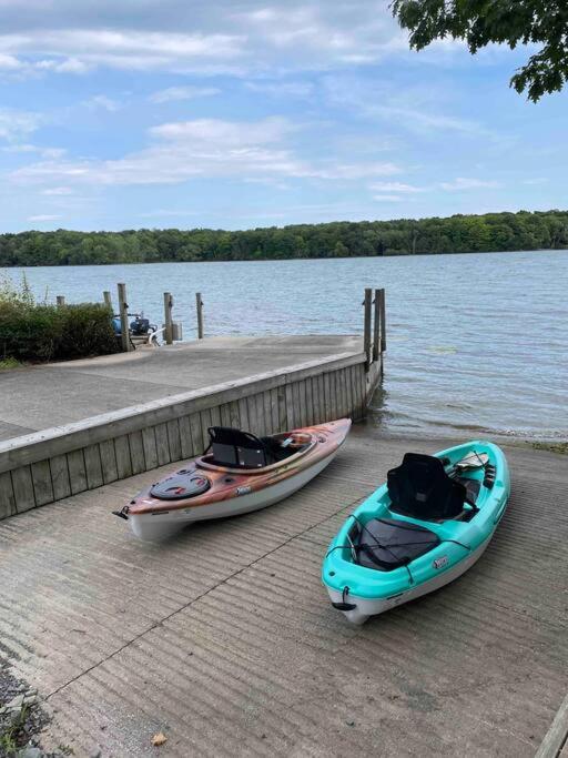 Bluebird Sanctuary - Howe island Luxury Retreat